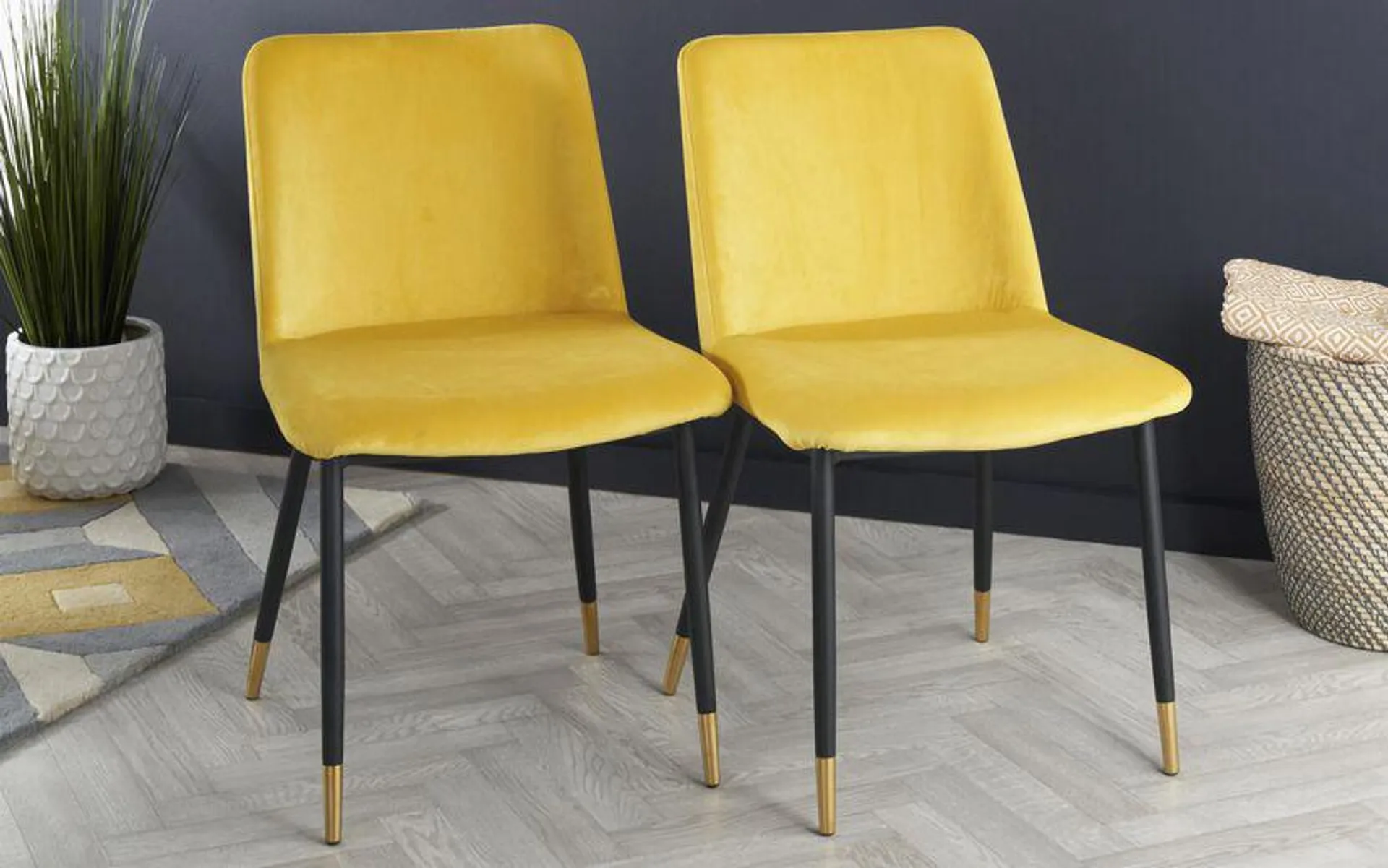 Montero Pair of Mustard Dining Chairs