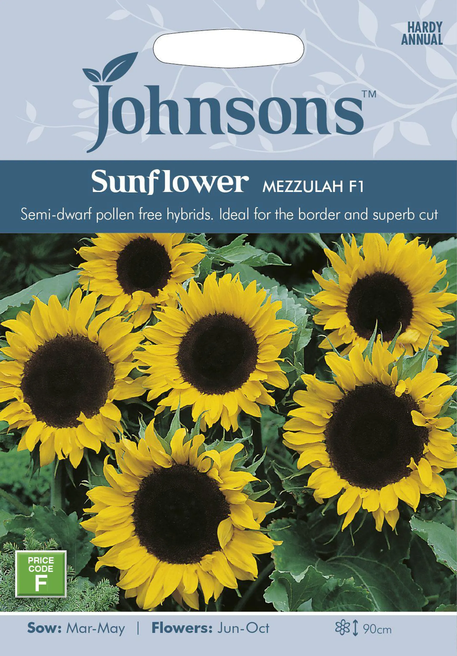Johnsons Sunflower Mezzulah Seeds