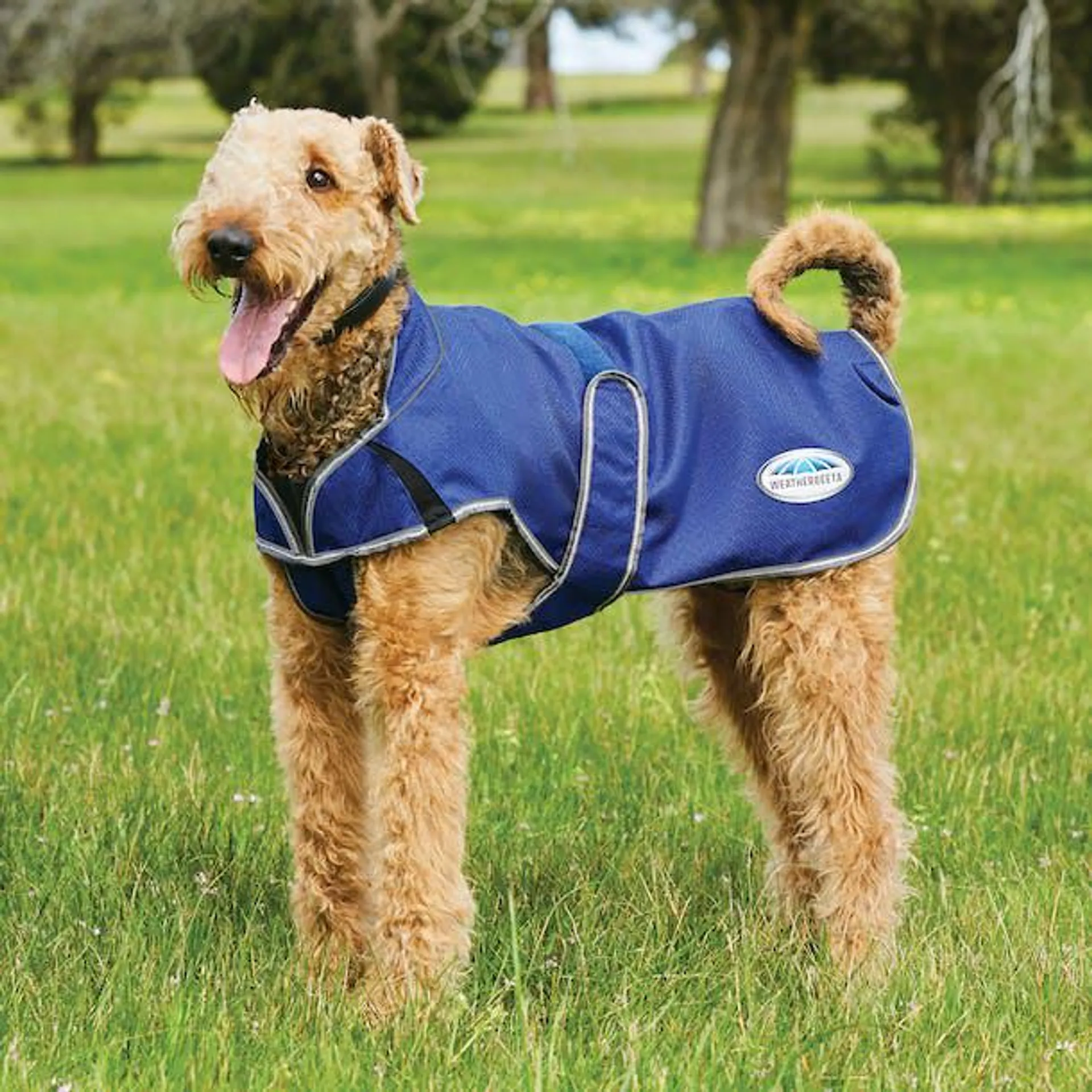 Weatherbeeta Comfitec Premier Free Parka Deluxe Medium Dog Jacket