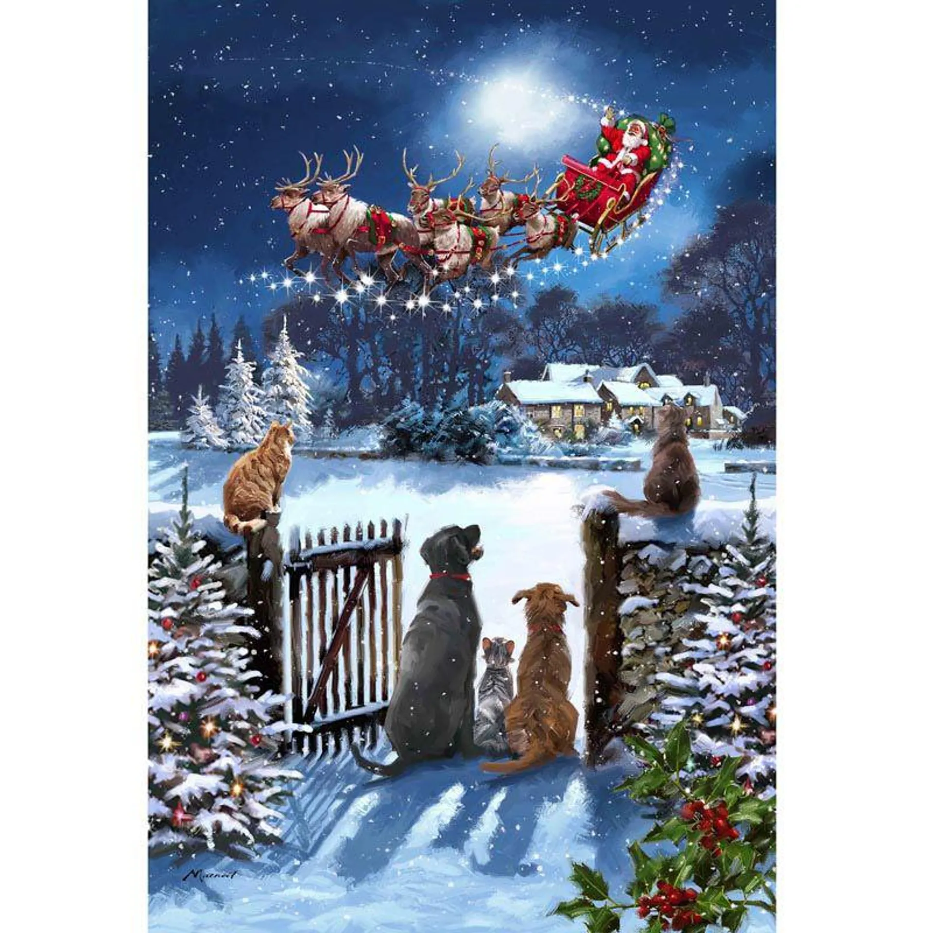 Battery Operated Fibre Optic Cats & Dogs Christmas Canvas (30x40cm)