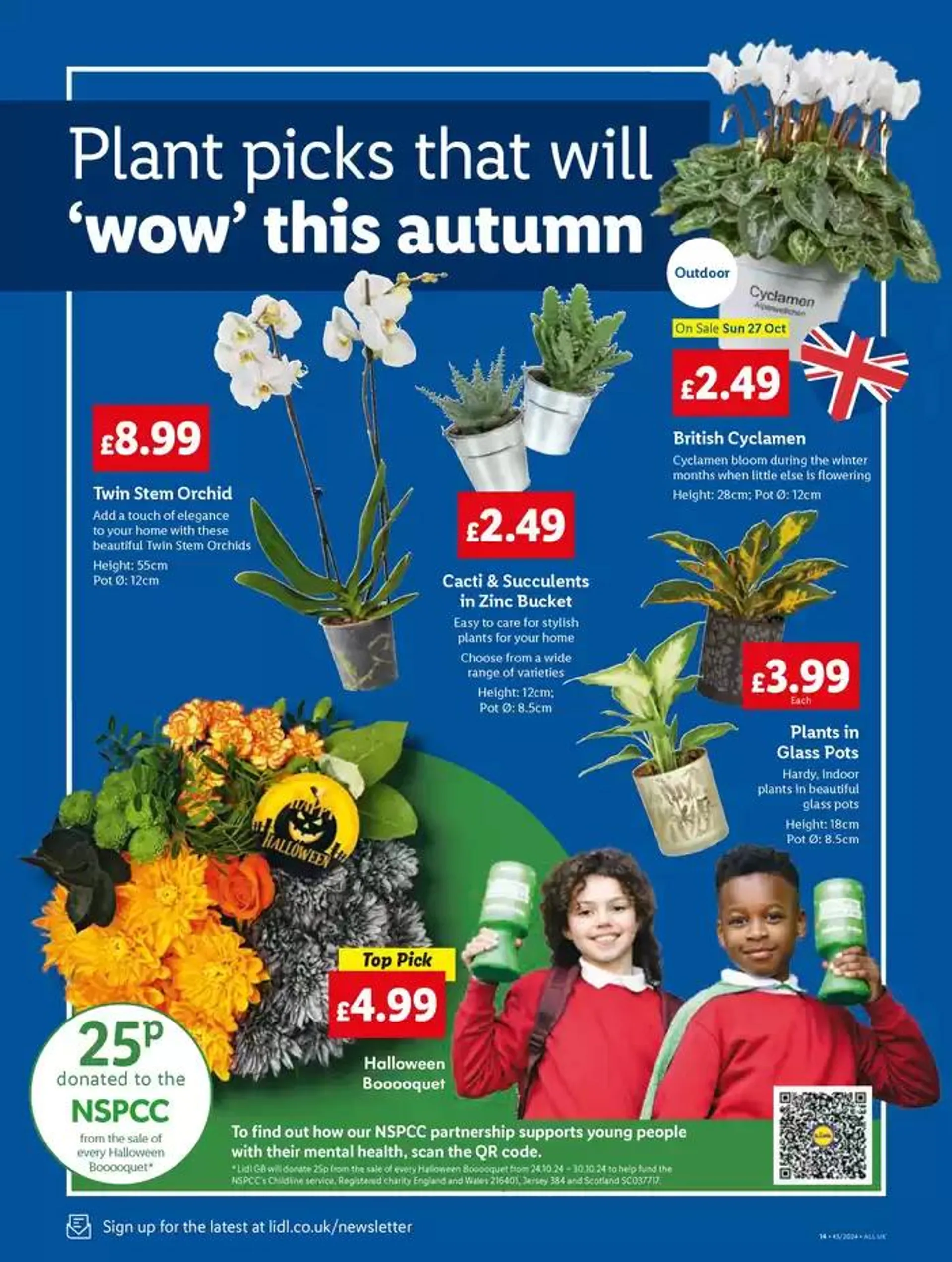 Top offers for smart savers from 24 October to 30 October 2024 - Catalogue Page 14