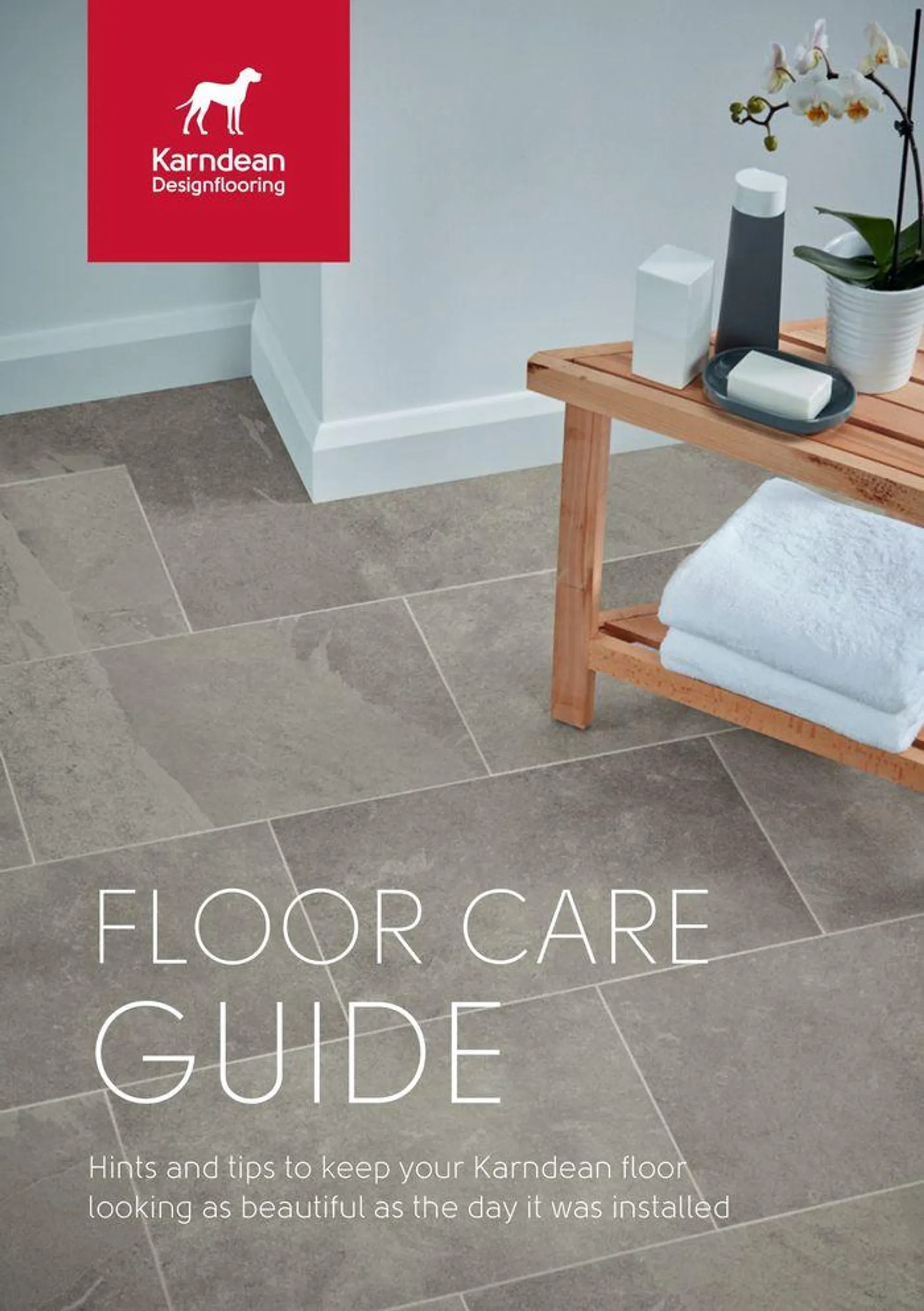 Floor Care Guide - 1