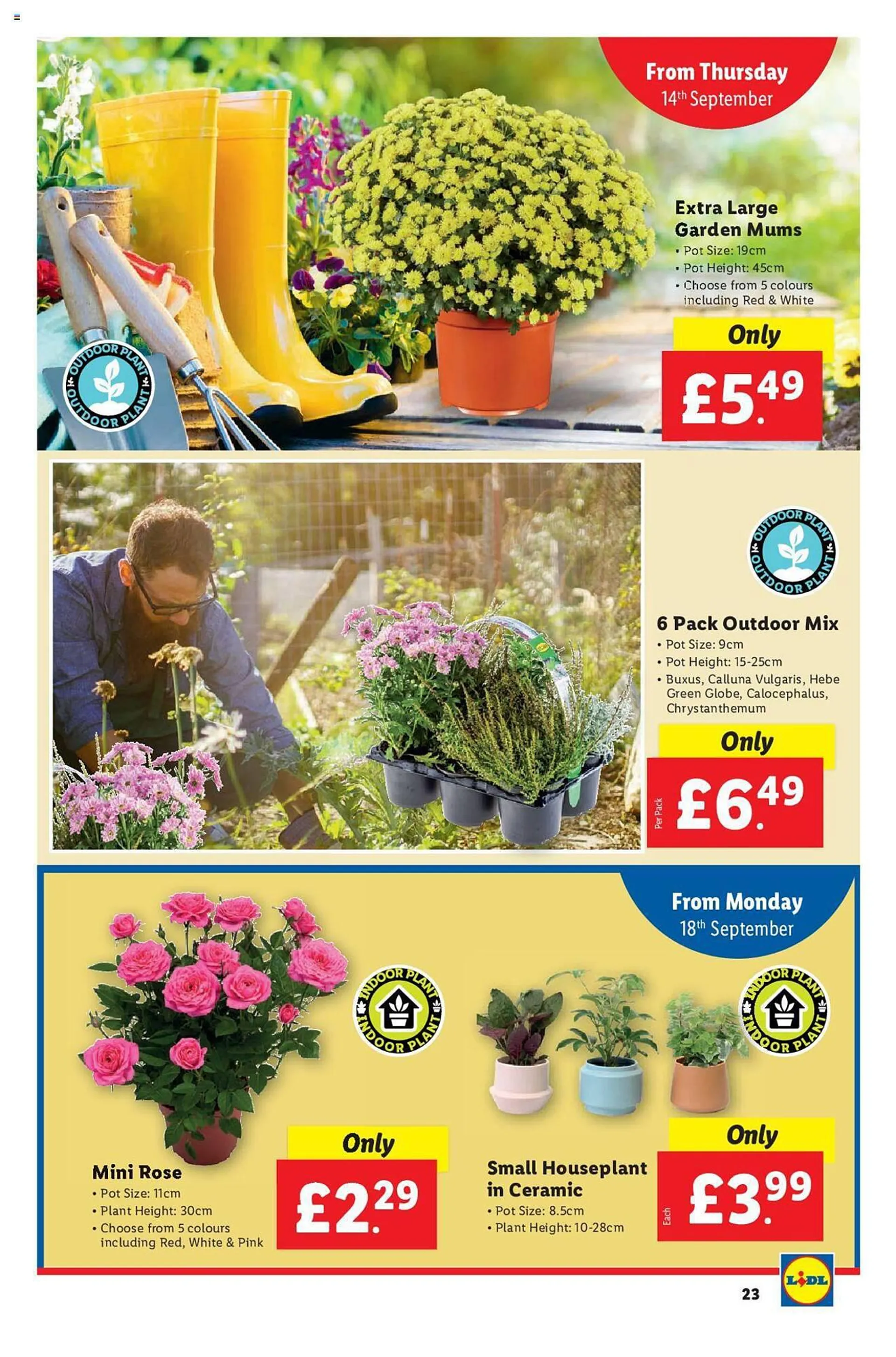 Lidl Weekly Offers from 6 September to 30 September 2023 - Catalogue Page 23