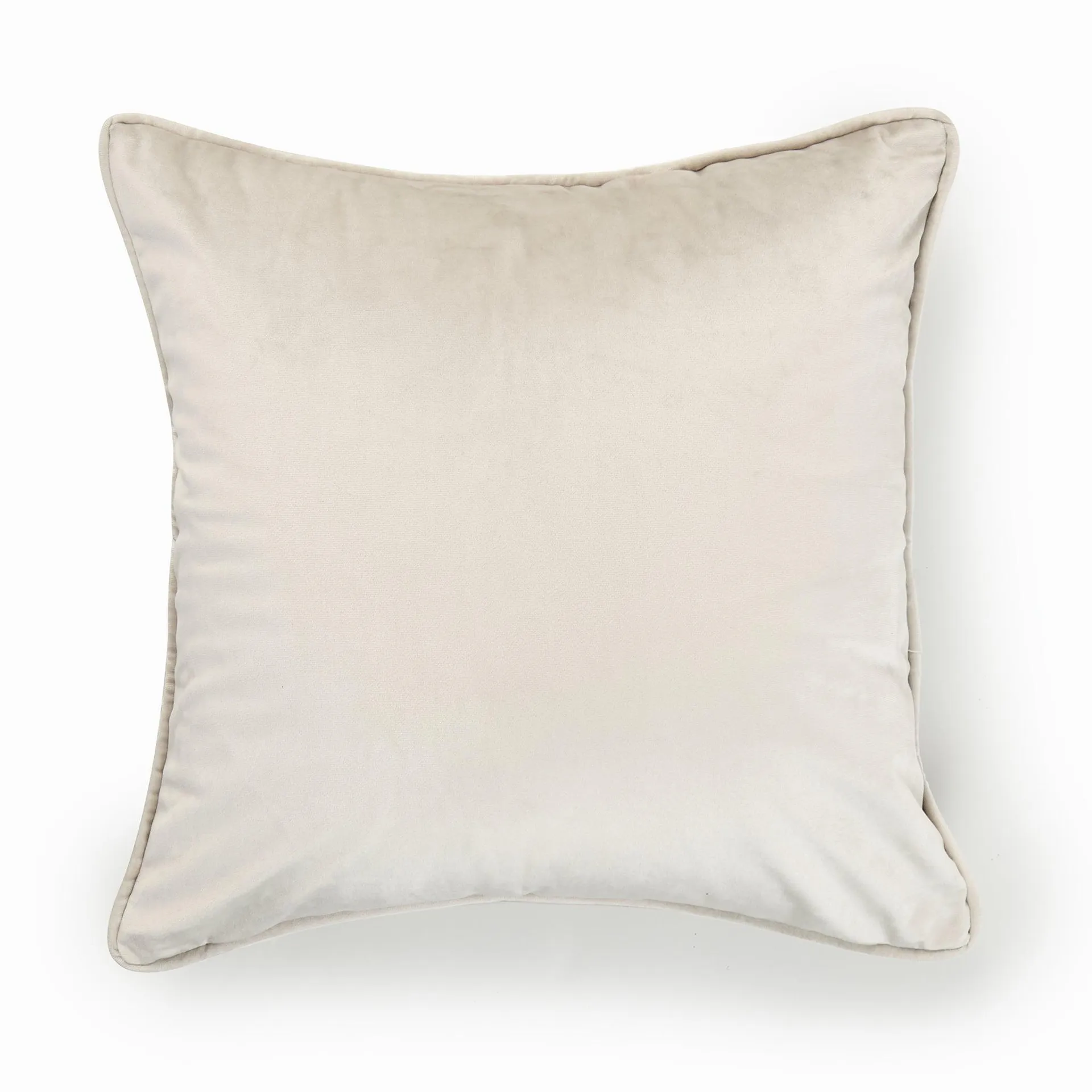 Piped Velvet Cushion - Silver - 2 for £12