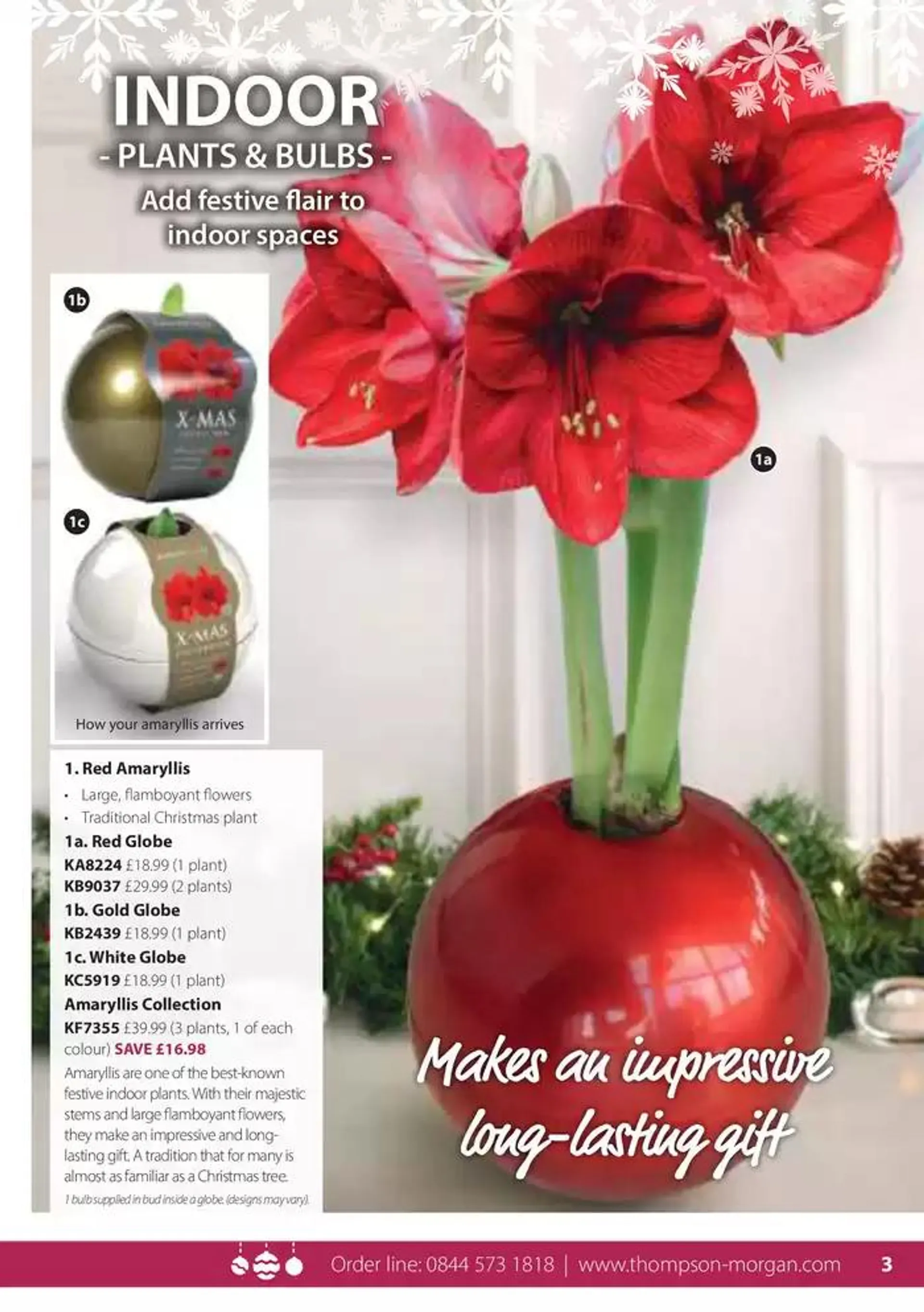 The Christmas Catalogue  from 5 November to 25 December 2024 - Catalogue Page 3