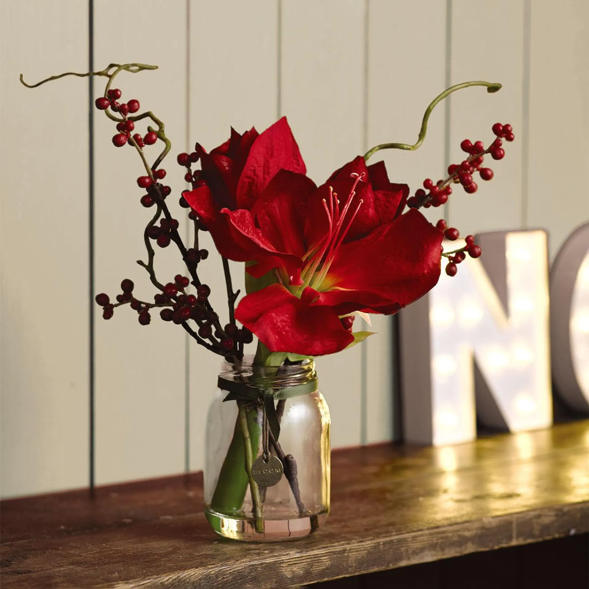 Amaryllis and Berry Arrangement in 1colour