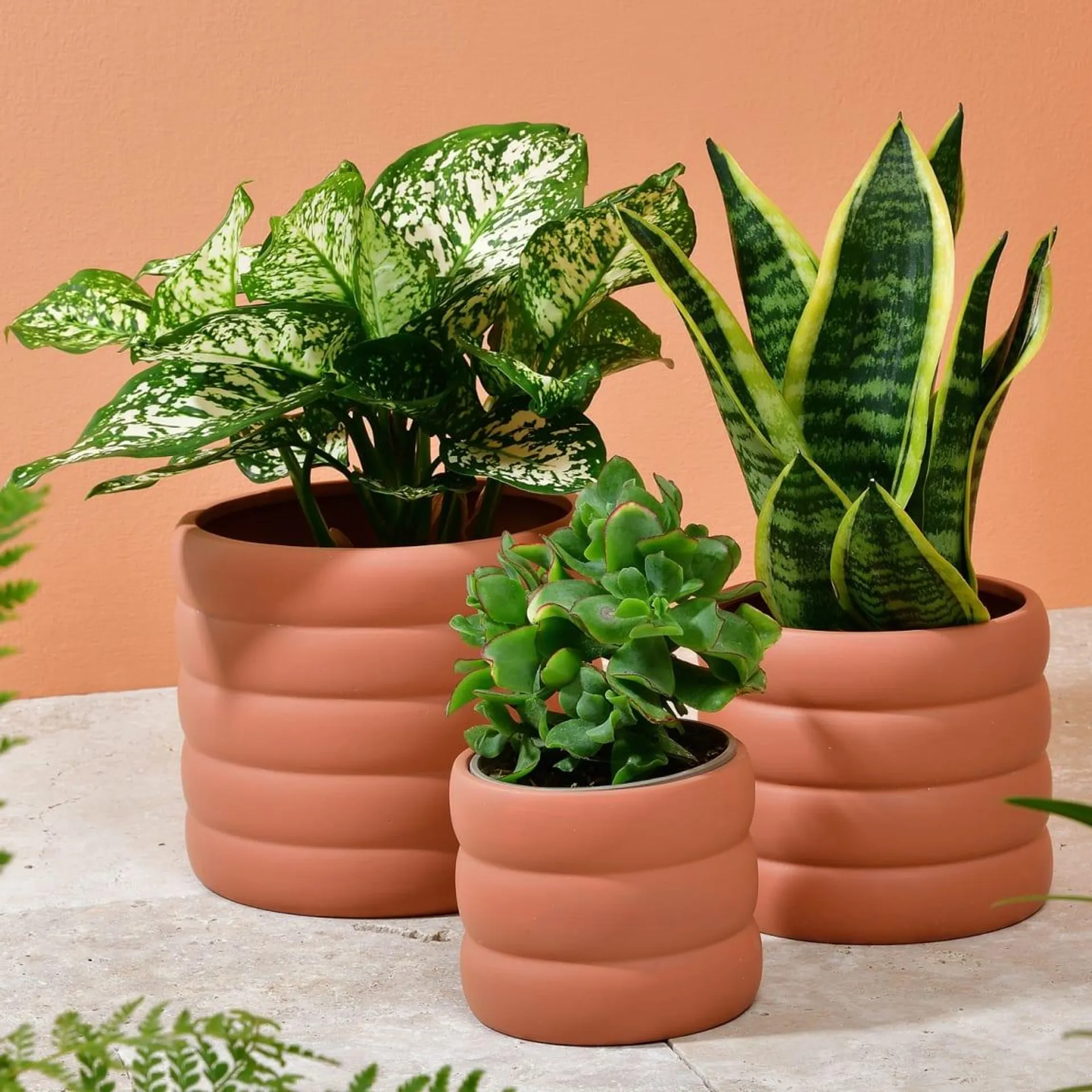 Tropical Retreat Curve Planters 3pk - Terracotta