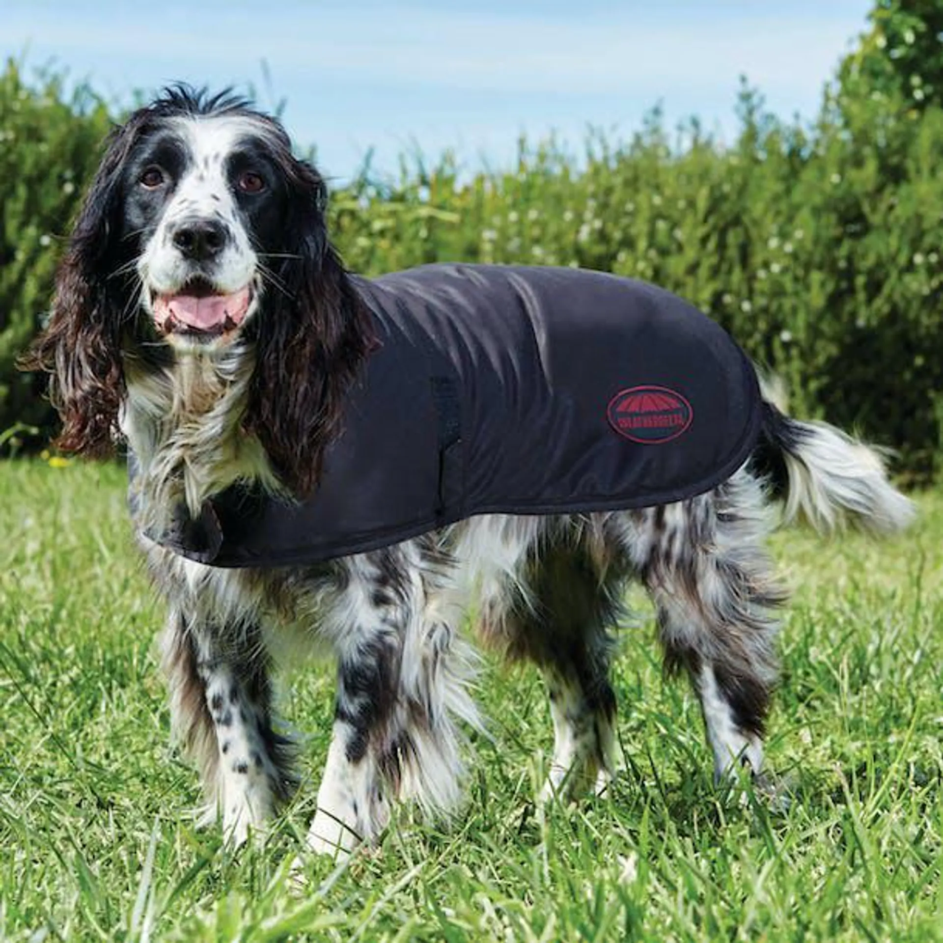 Weatherbeeta ComFiTec Waxed Dog Jacket