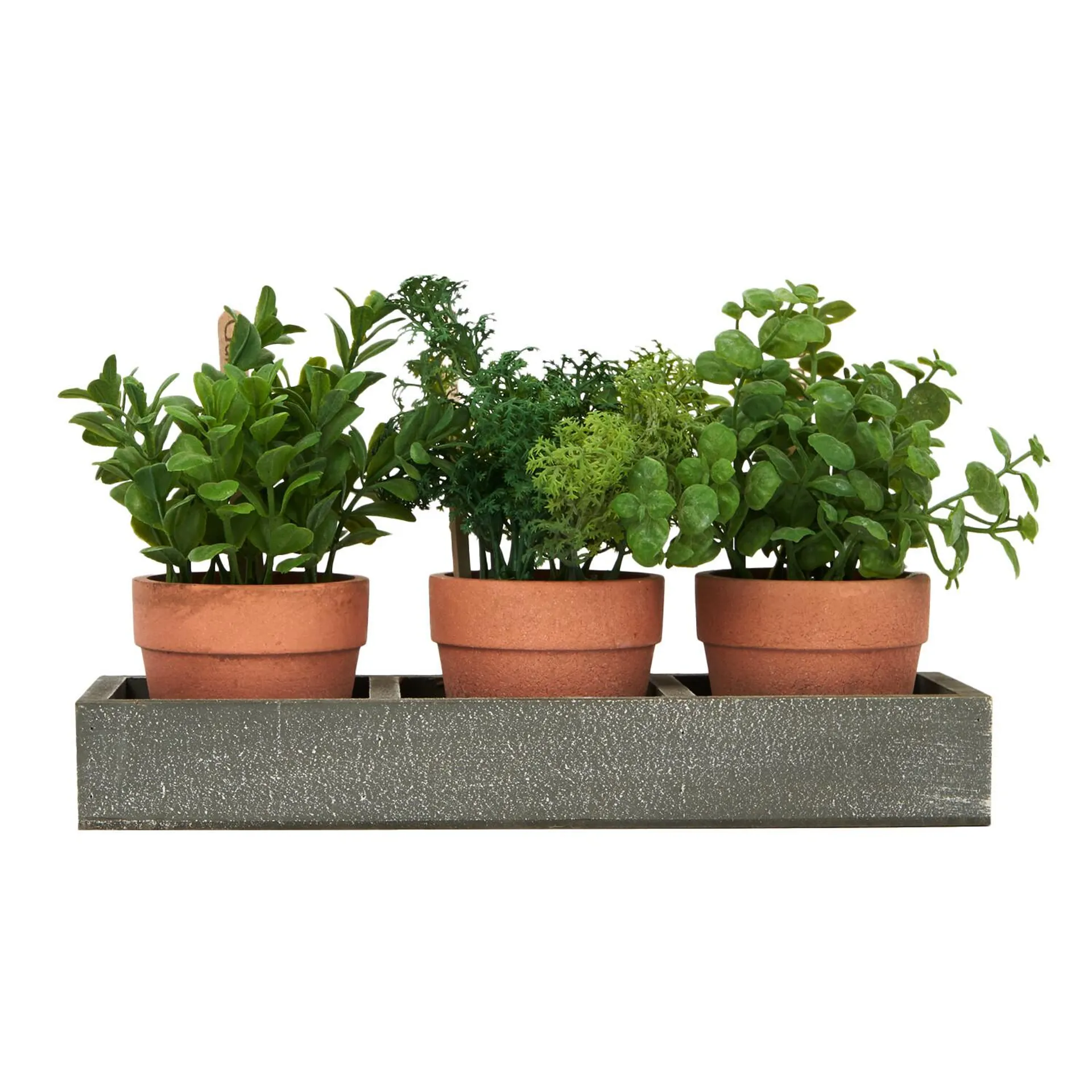 Set of 3 Potted Herbs in Tray - Grey