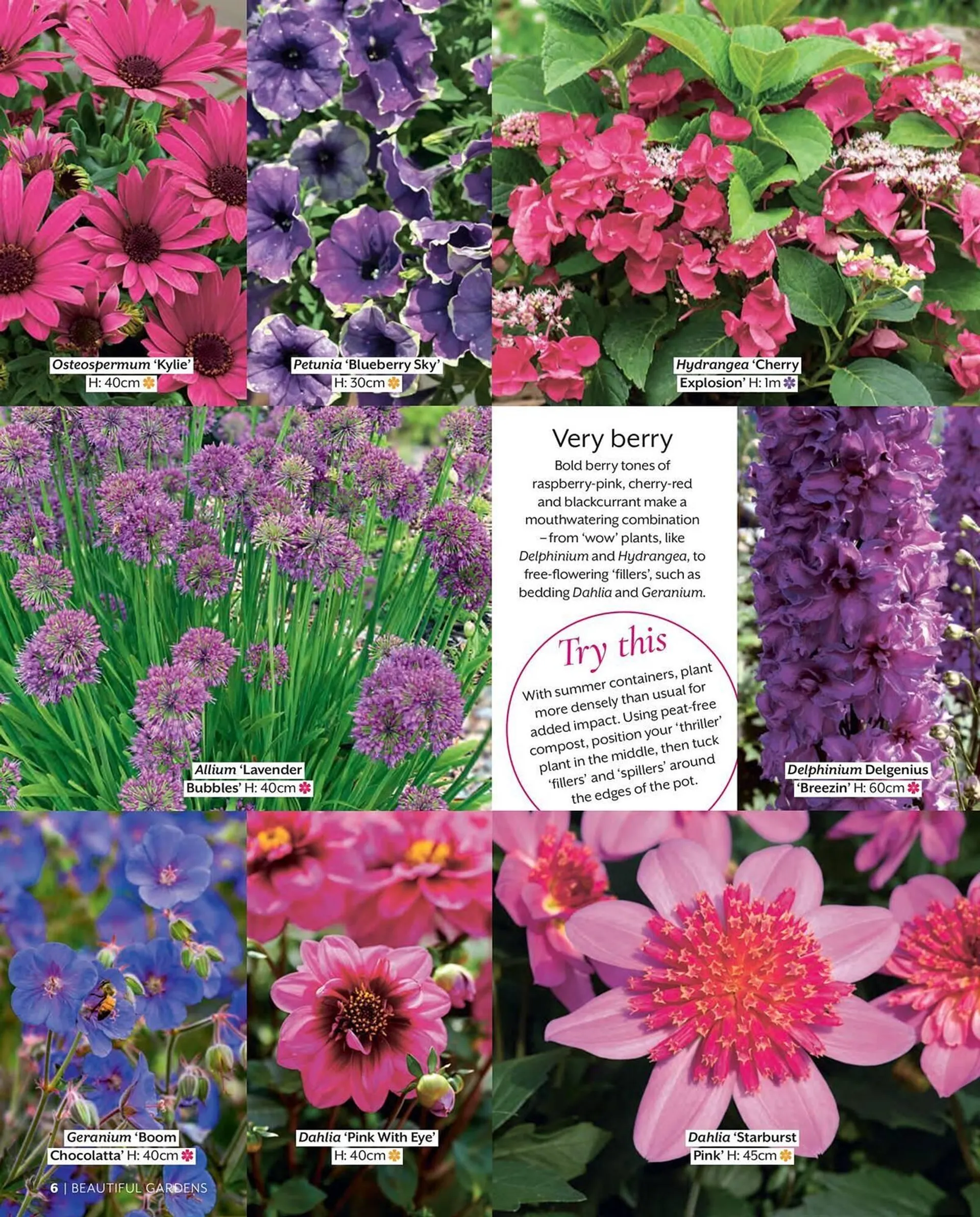 Frosts Garden Centres leaflet - 6