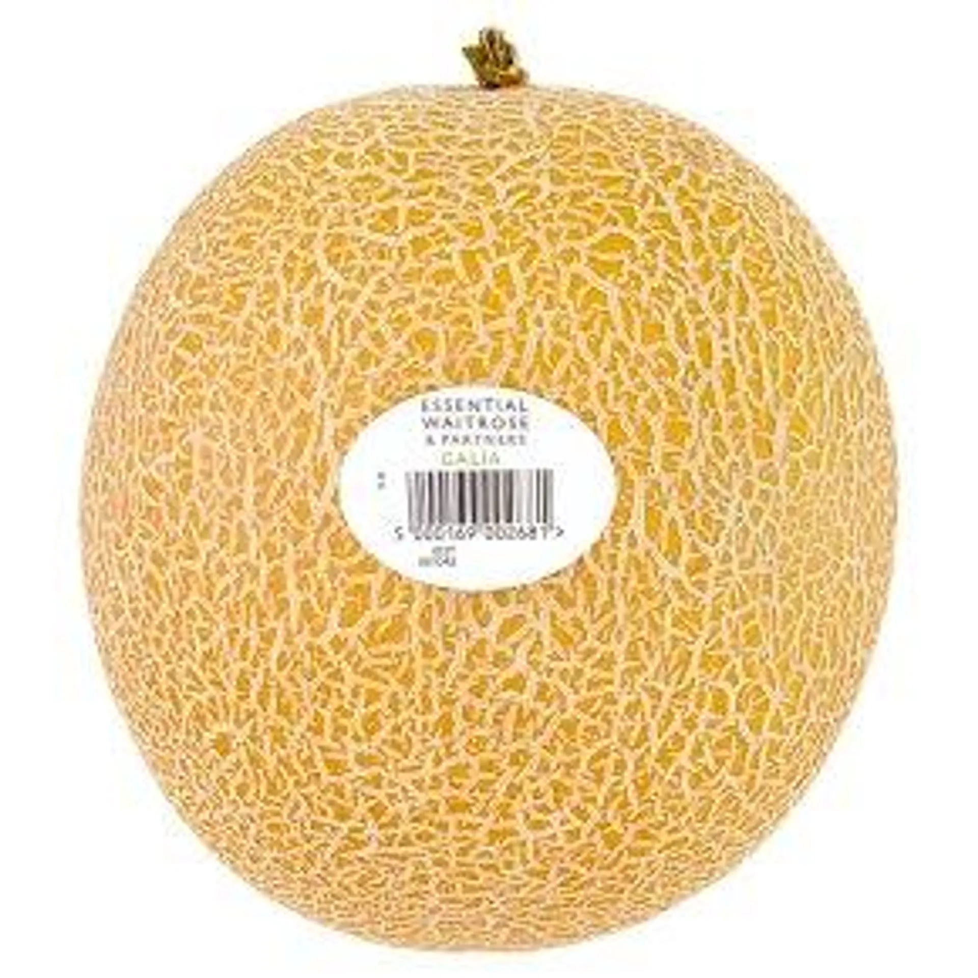 Essential Galia Melon