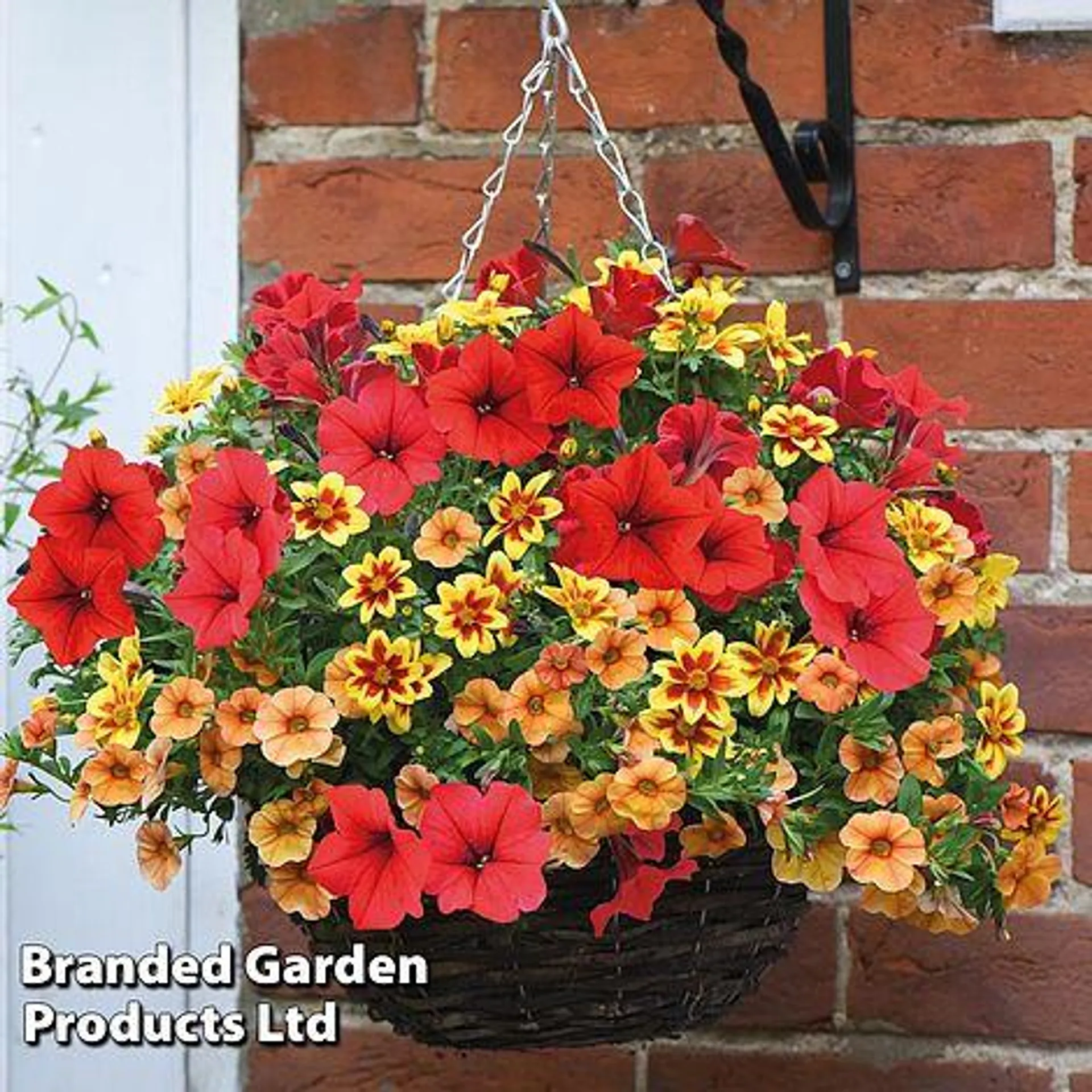 Buy two 25cm Pre-Planted Baskets ONLY £34.99