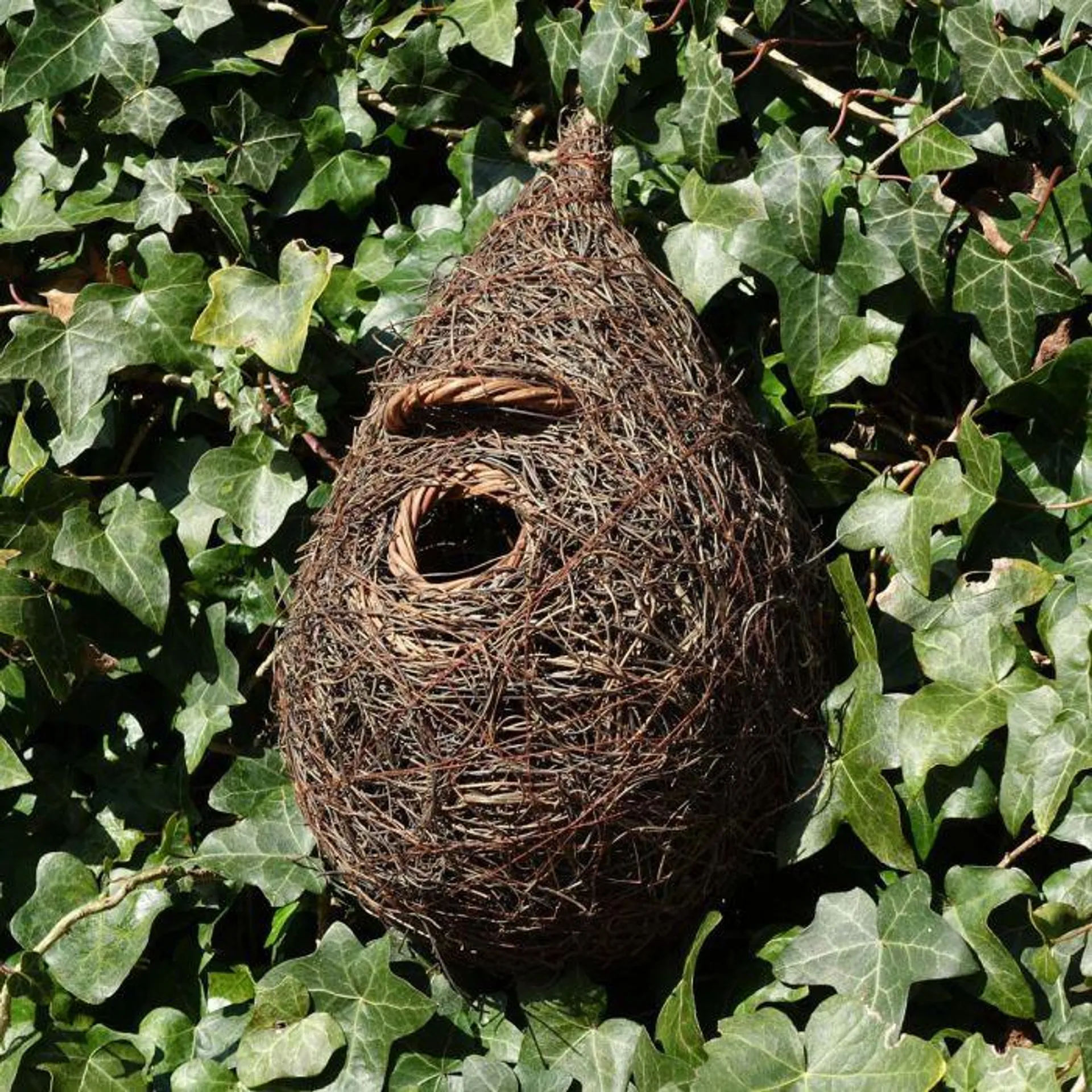 Giant Roost Nest Pocket