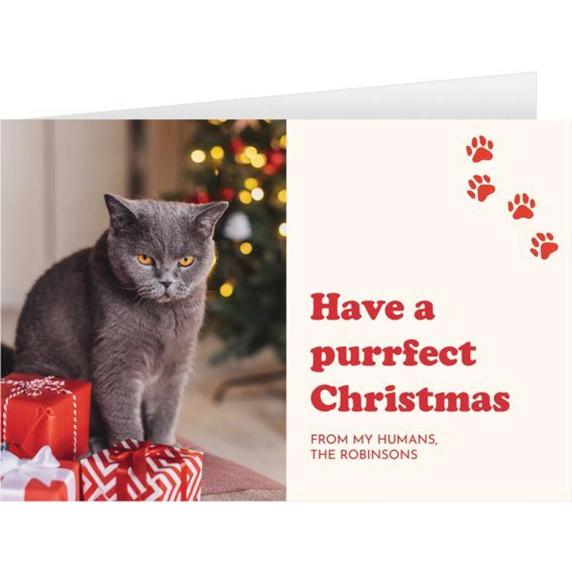 Purrfect Christmas