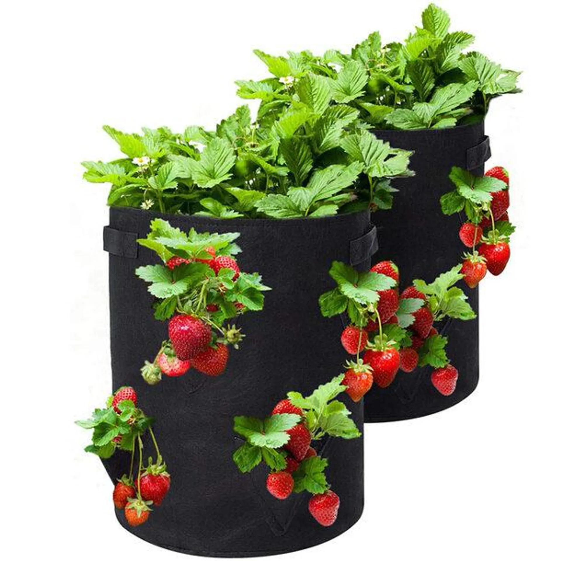 Strawberry Grow Bags (Pack of 2)