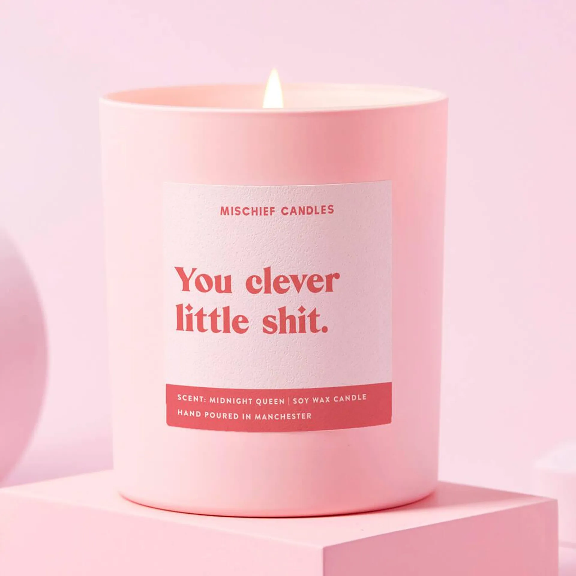 Well Done Gift Funny Candle Clever Little Shit