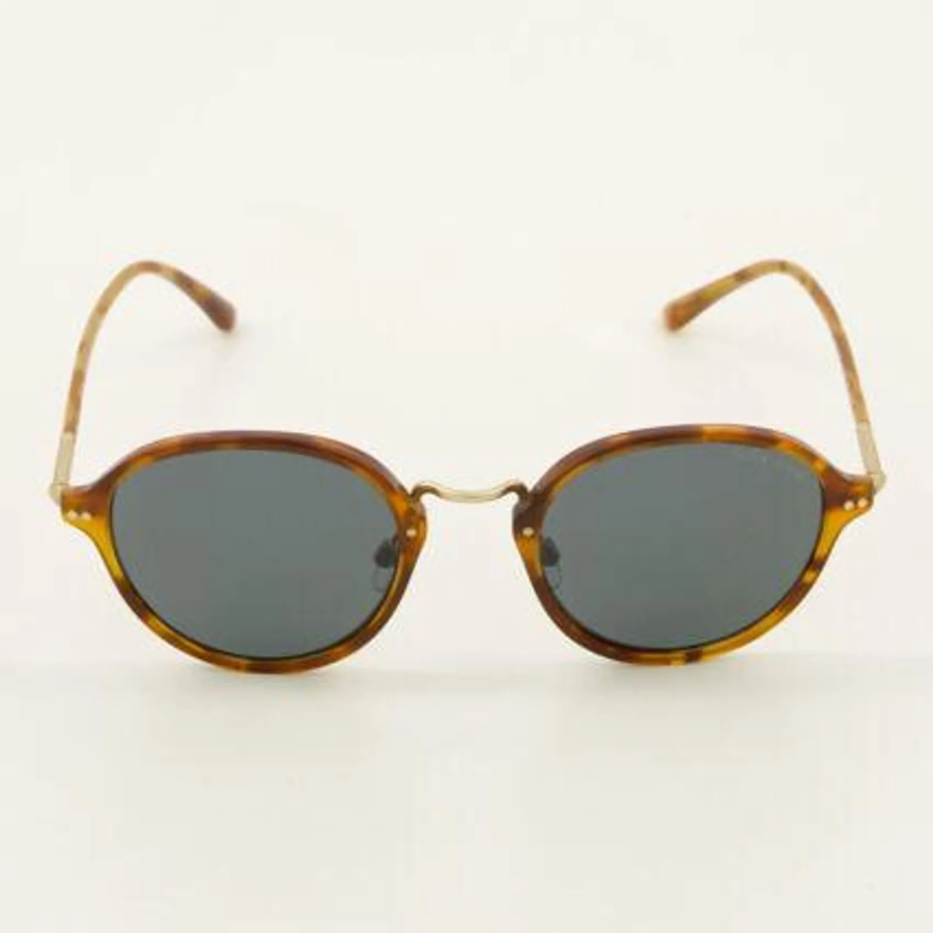 Tortoiseshell & Matte Gold AR8139 Round Sunglasses