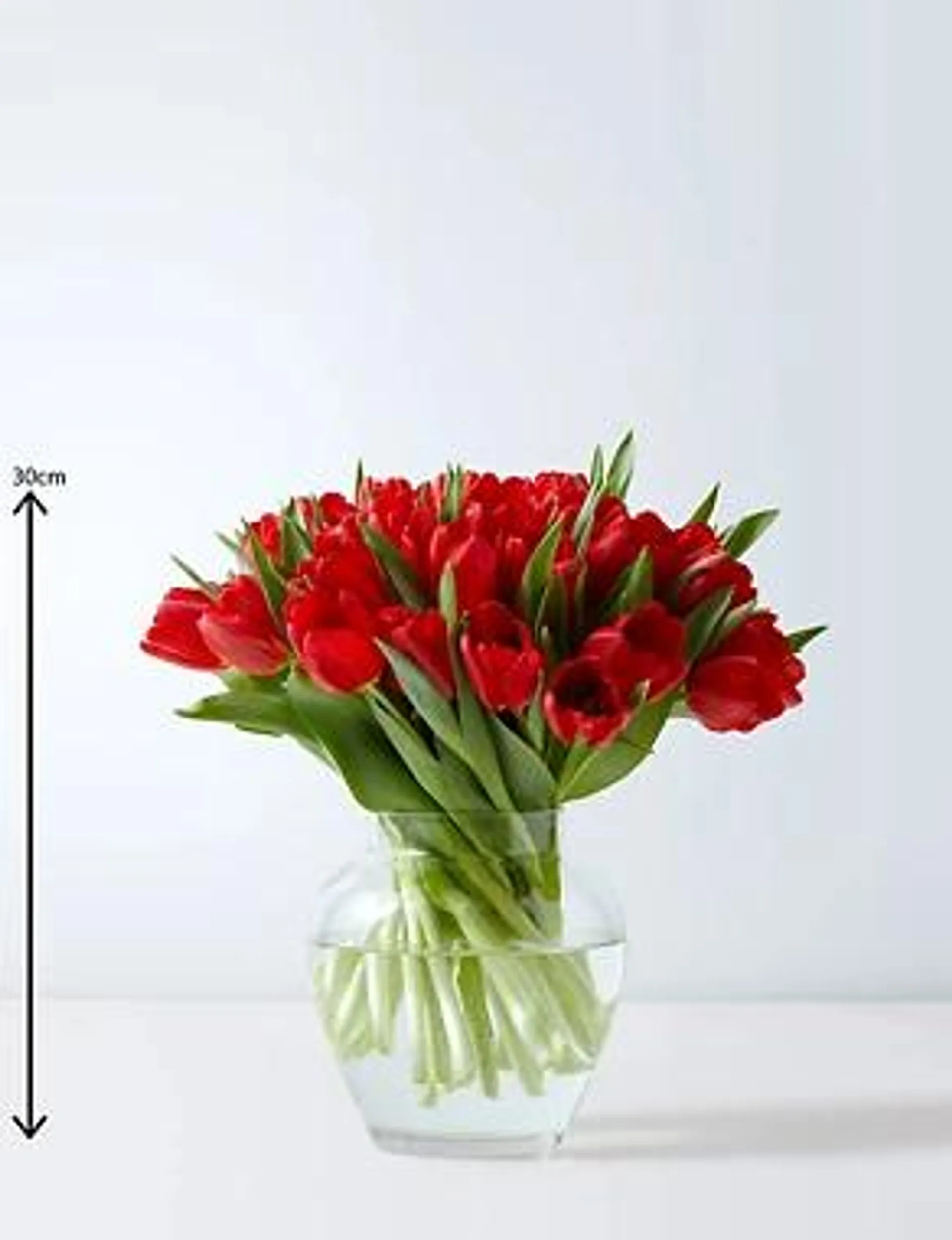 Tulip Abundance Flowers Bouquet (Delivery from 9th February 2023)