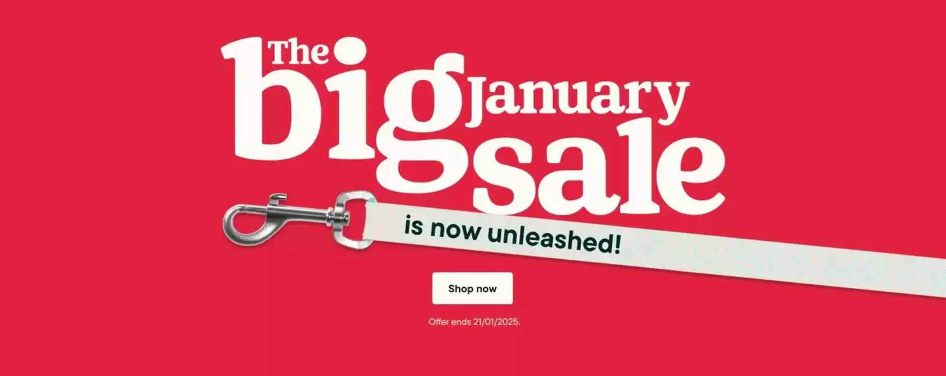 The Big January Sale  - 1