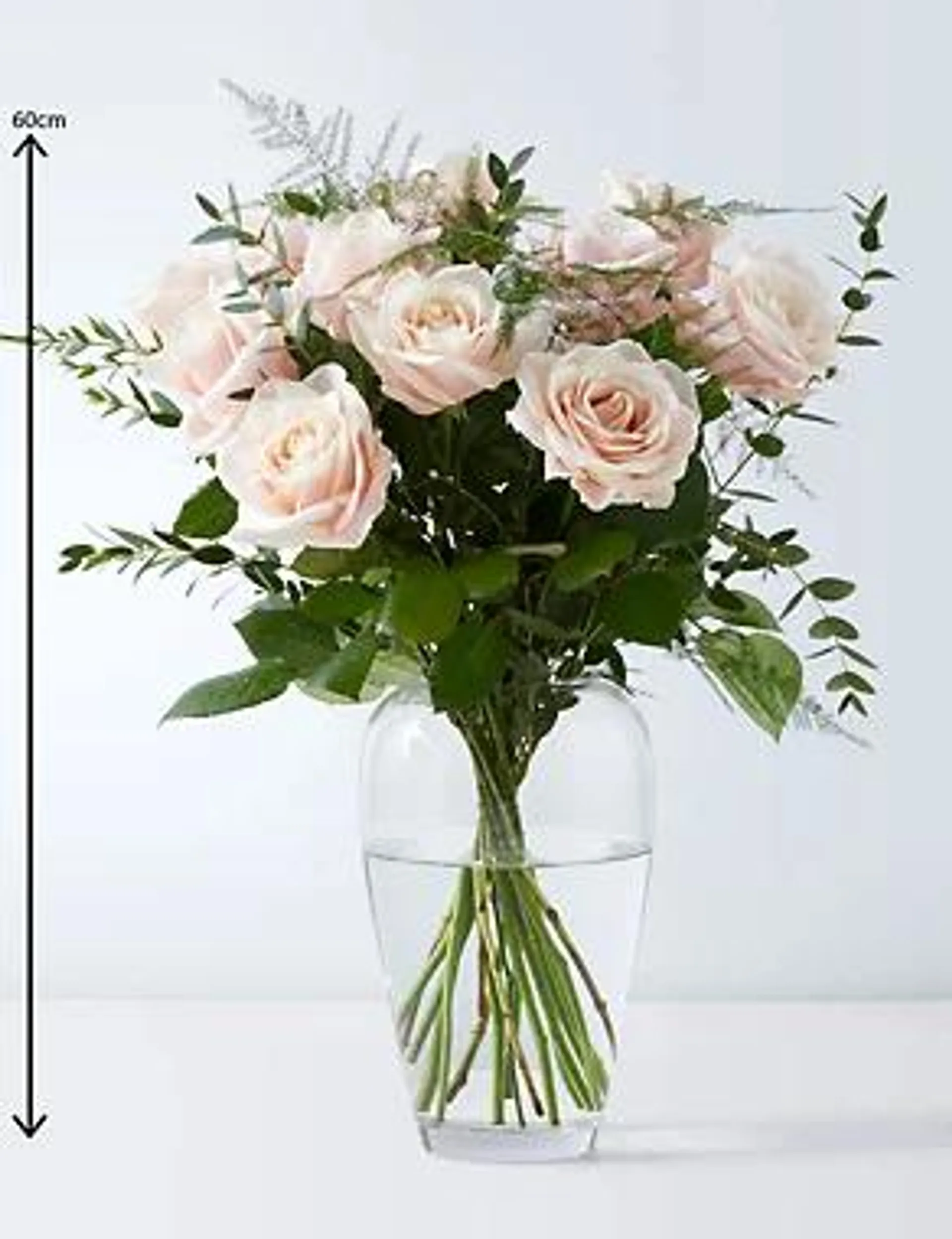 Dozen Pink Roses Bouquet (Delivery from 9th February 2023)