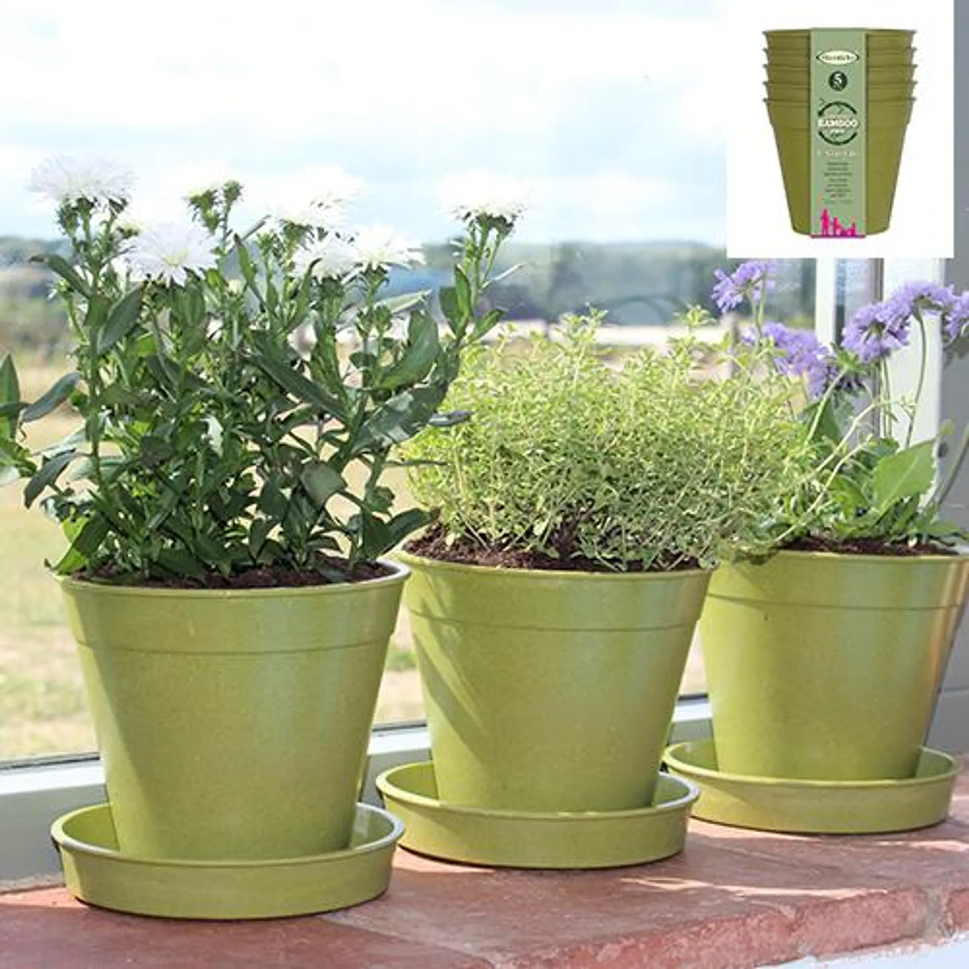 5" Sage Green Bamboo Pot - 5 Pack