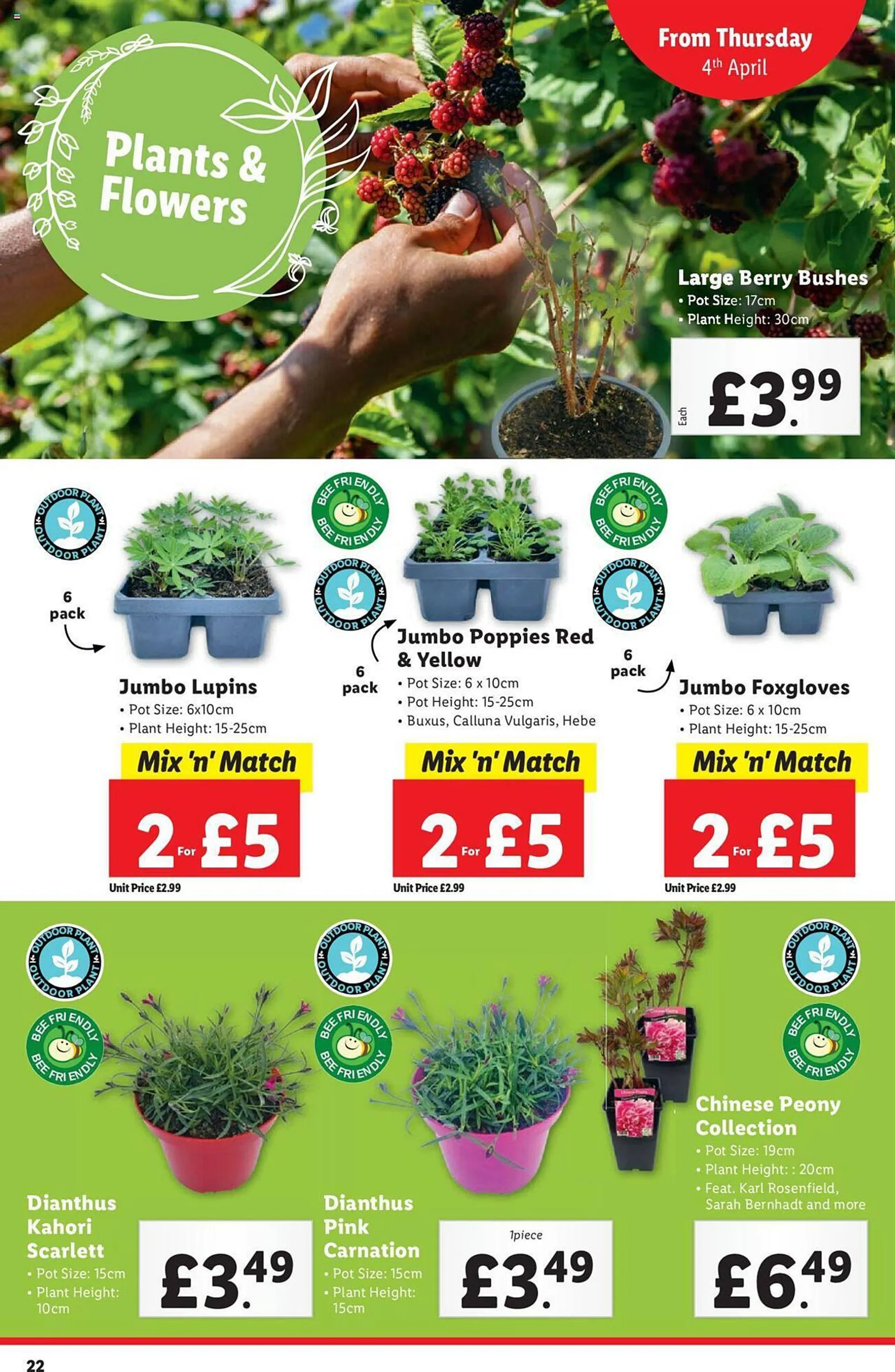 Lidl leaflet from 4 April to 10 April 2024 - Catalogue Page 22