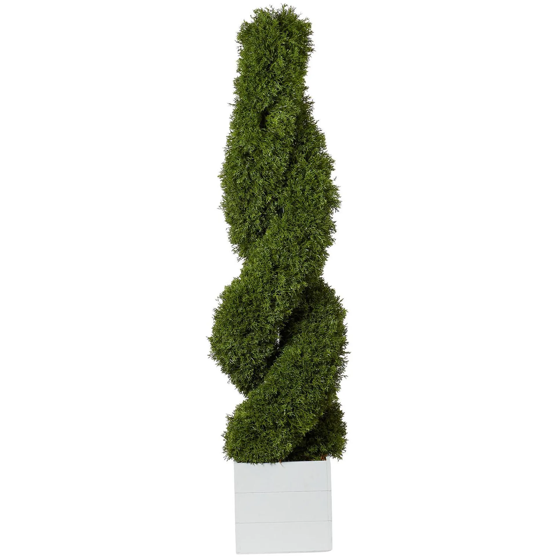 Cypress Spiral Tree - Green