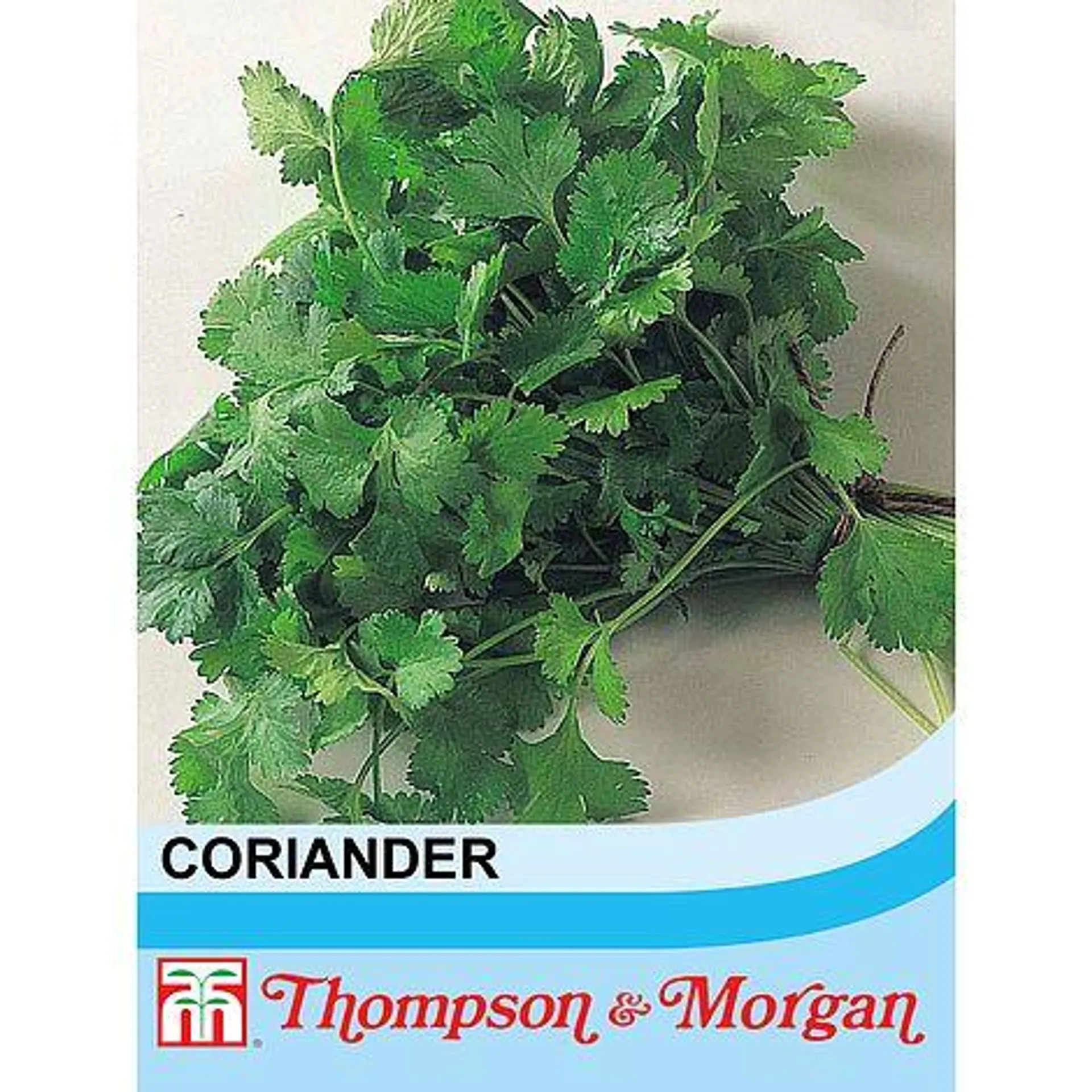 Coriander - Start-A-Garden™ Seed Range