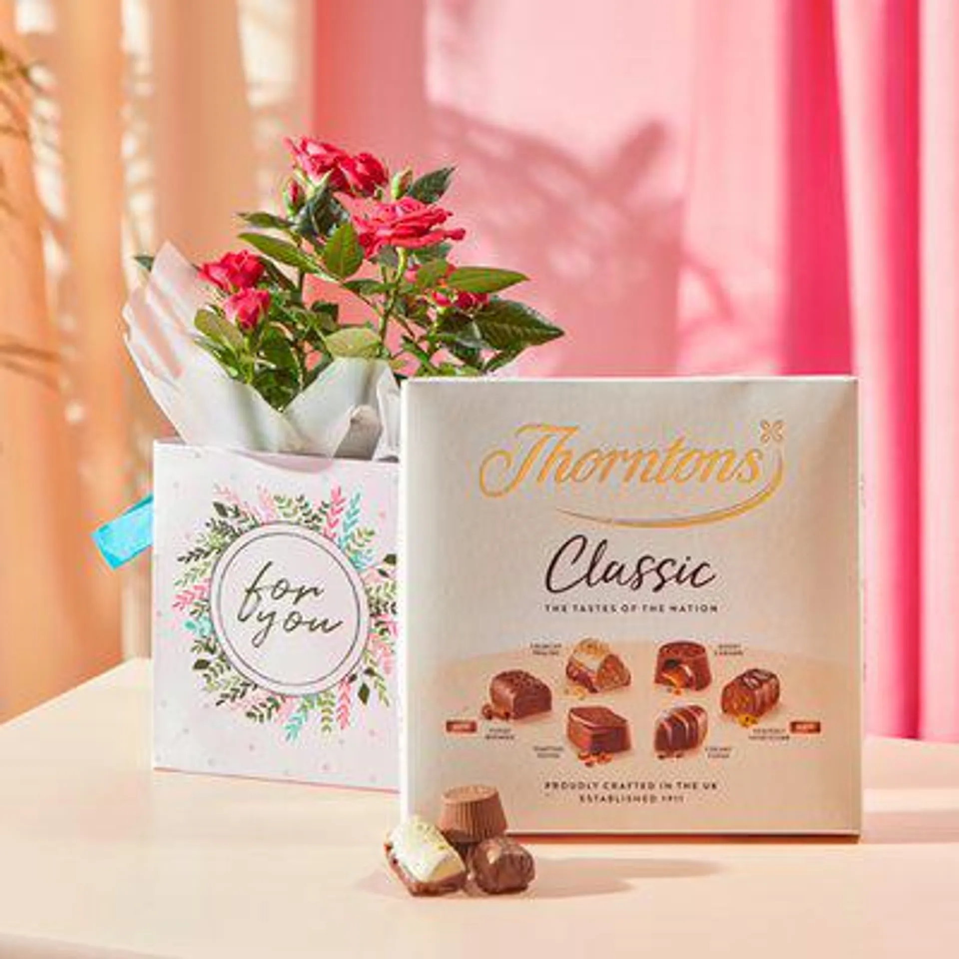 The Rose Plant Gift Bag With Chocolates