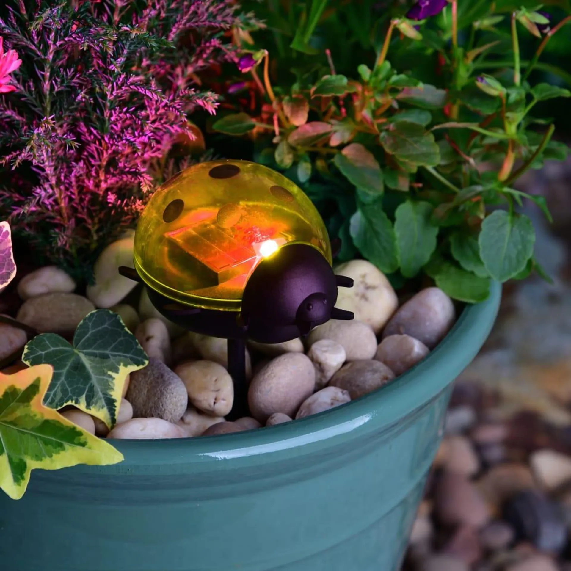 Solar Living Insect Stake Light - Yellow Ladybird