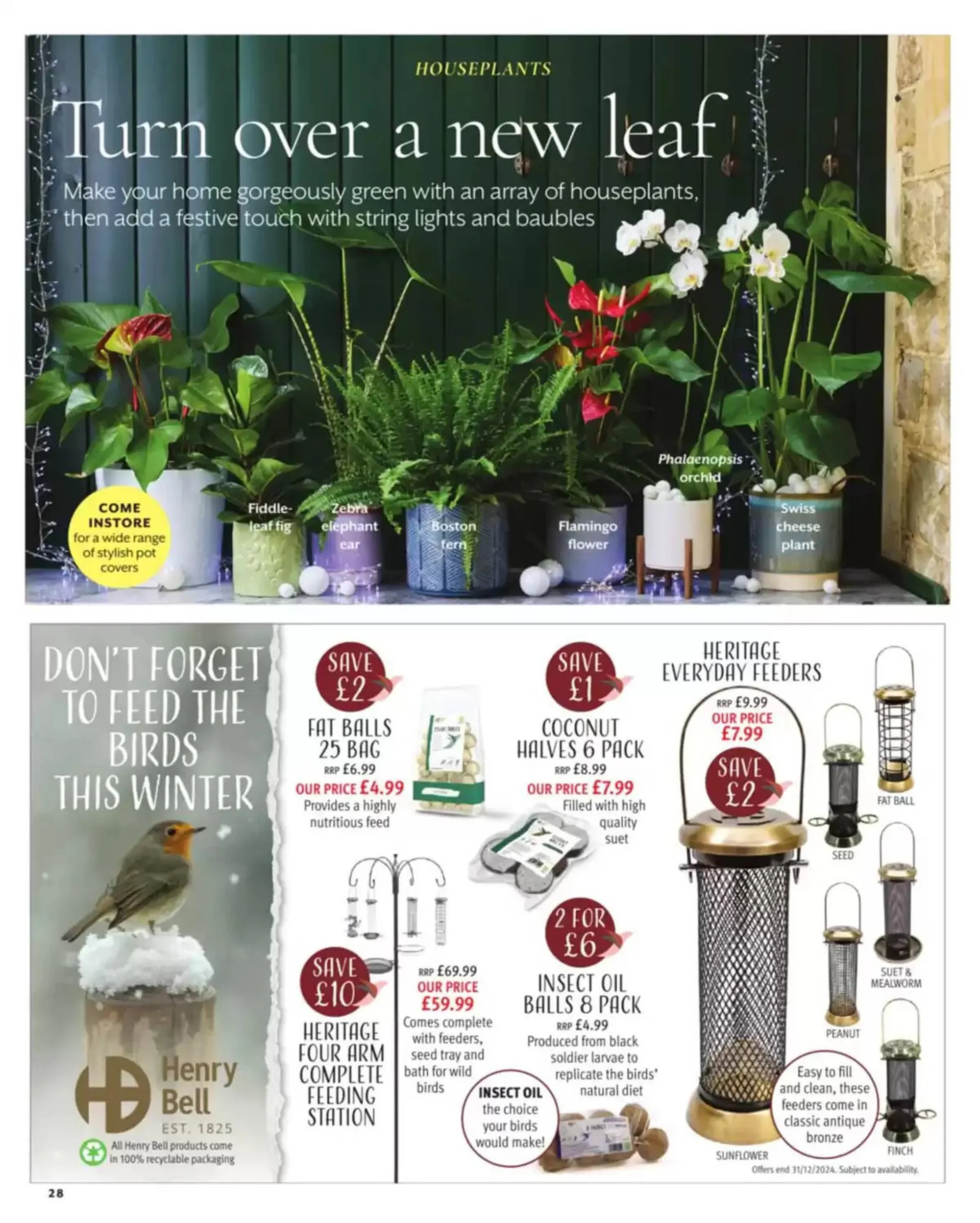 Squires Garden Centres leaflet from 26 November to 31 December 2024 - Catalogue Page 28