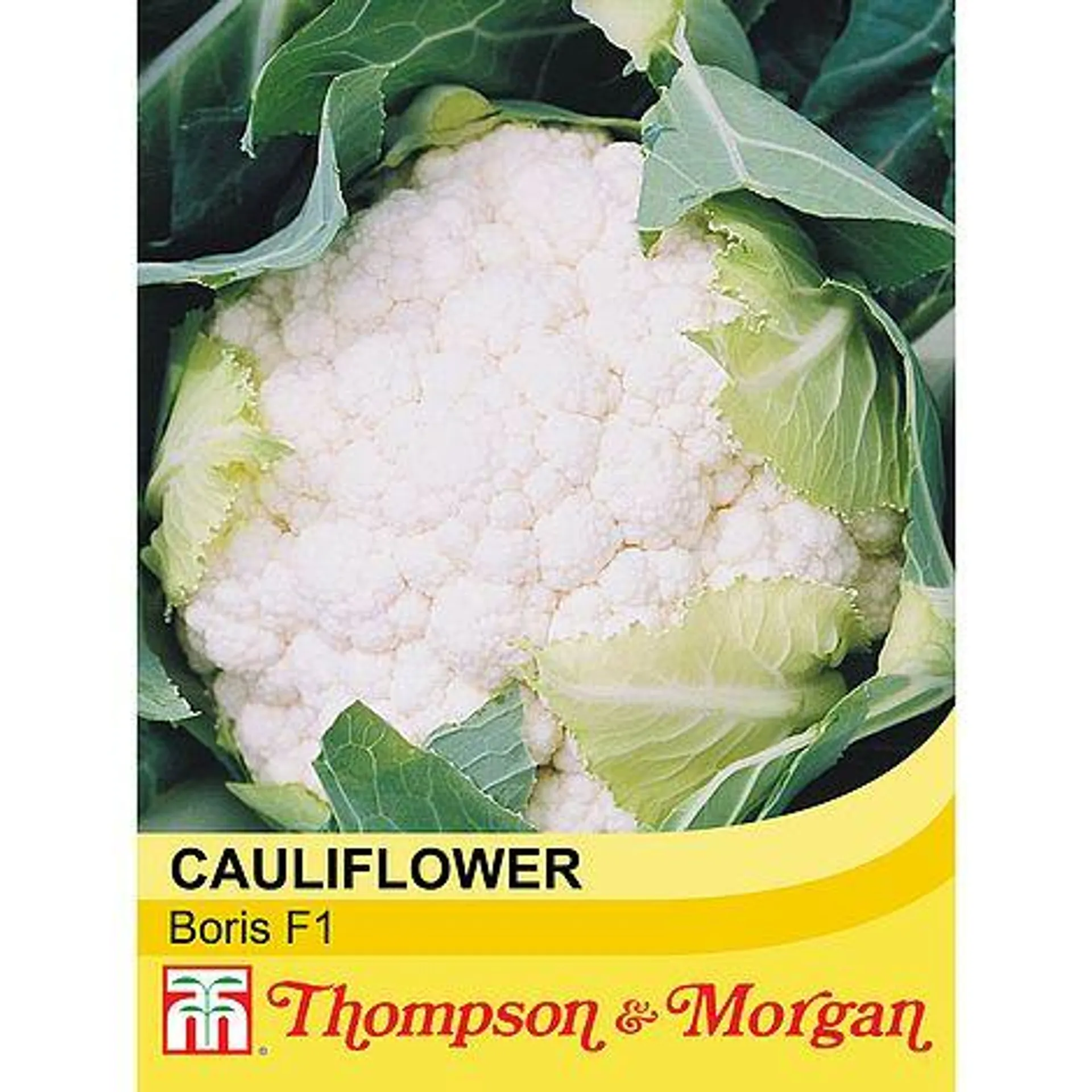 Cauliflower 'Boris' F1 Hybrid - Seeds