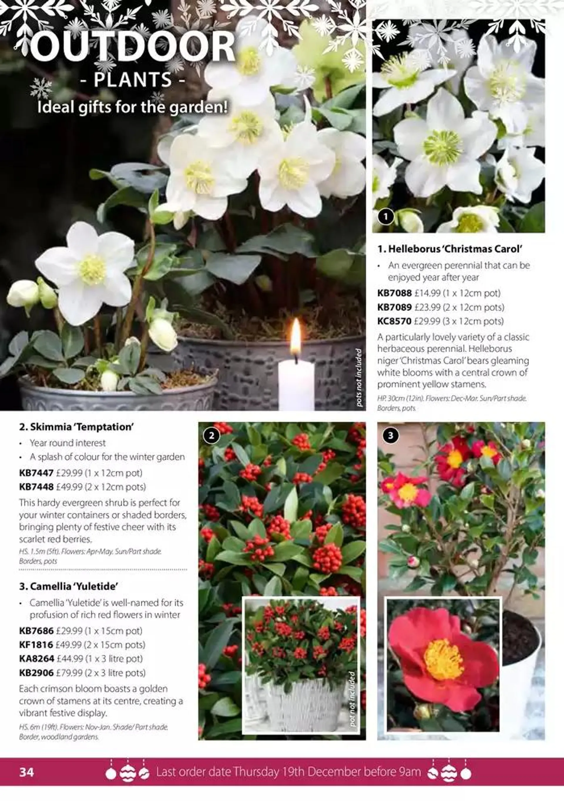 The Christmas Catalogue  from 5 November to 25 December 2024 - Catalogue Page 34