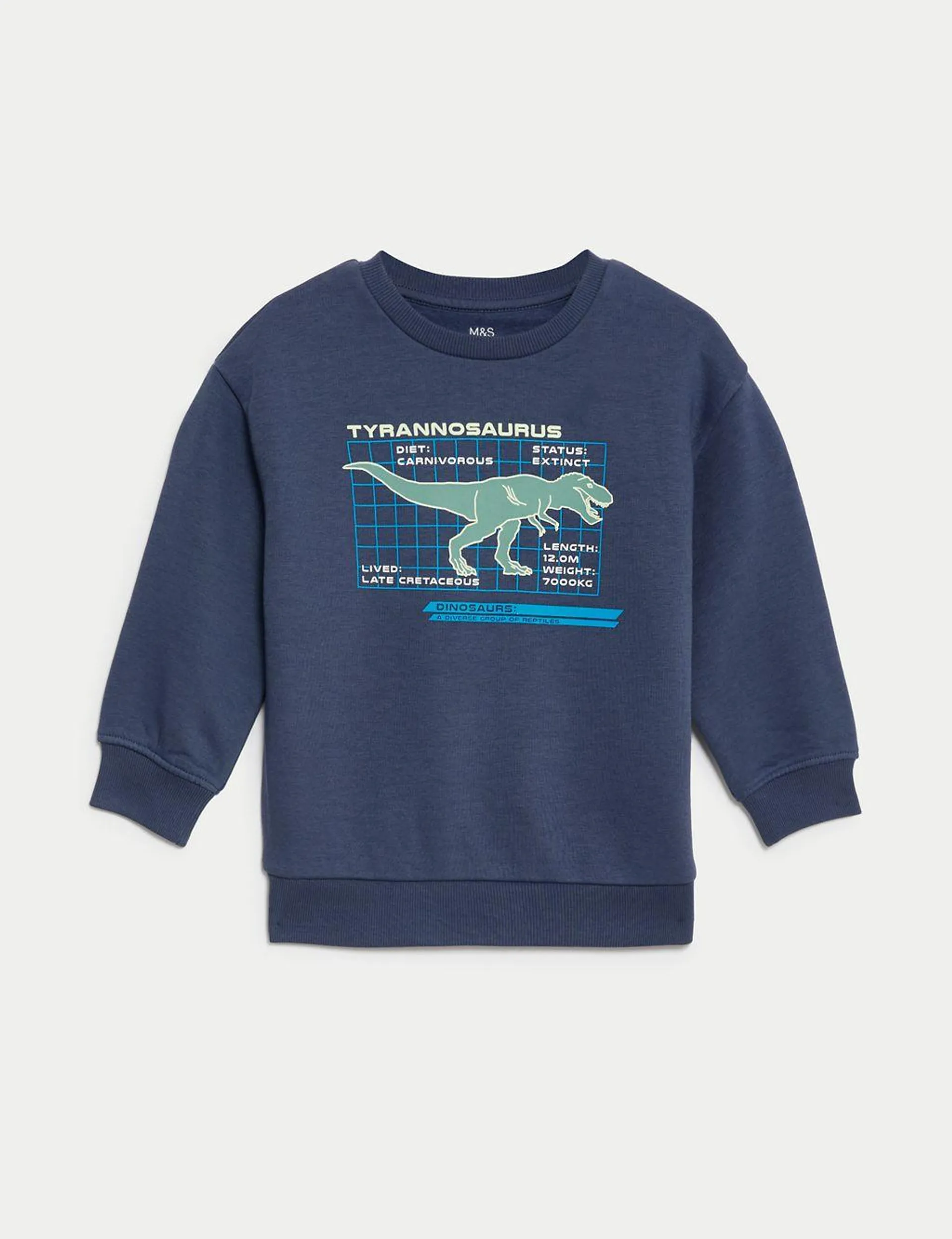 Cotton Rich Dinosaur Sweatshirt (2-8 Yrs)