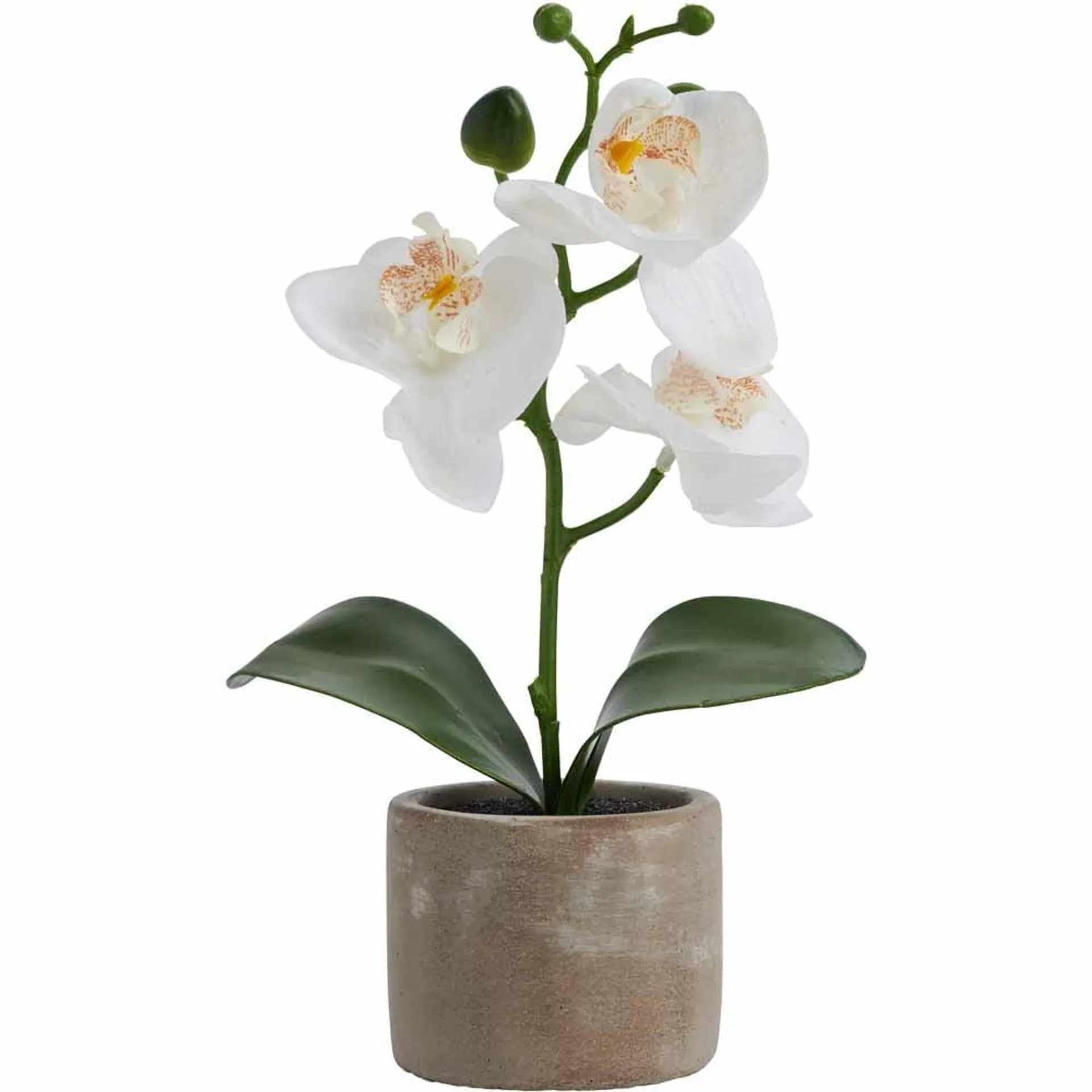 Wilko Artificial Mini Orchid in Cement Pot