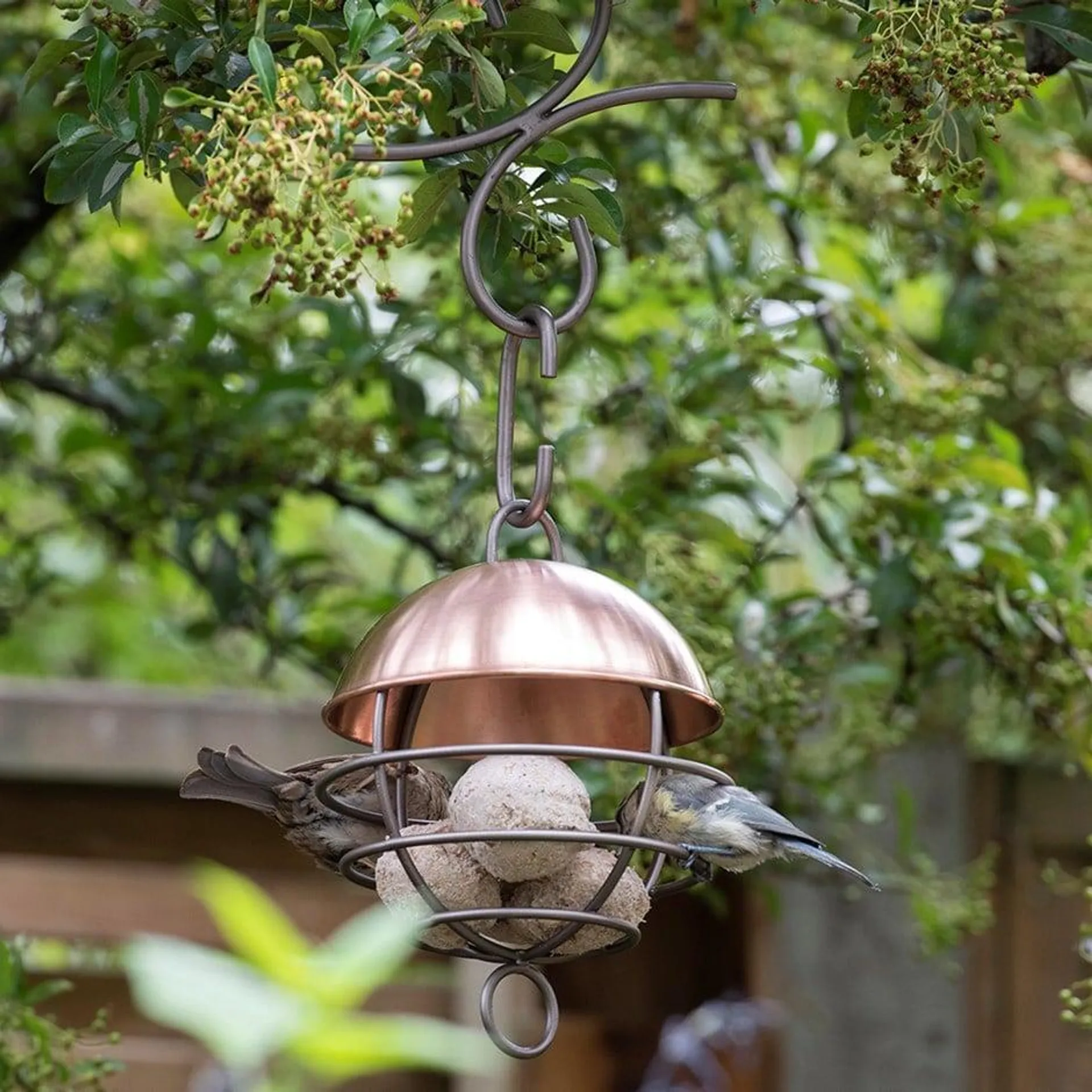 Brushed copper satellite fat ball feeder