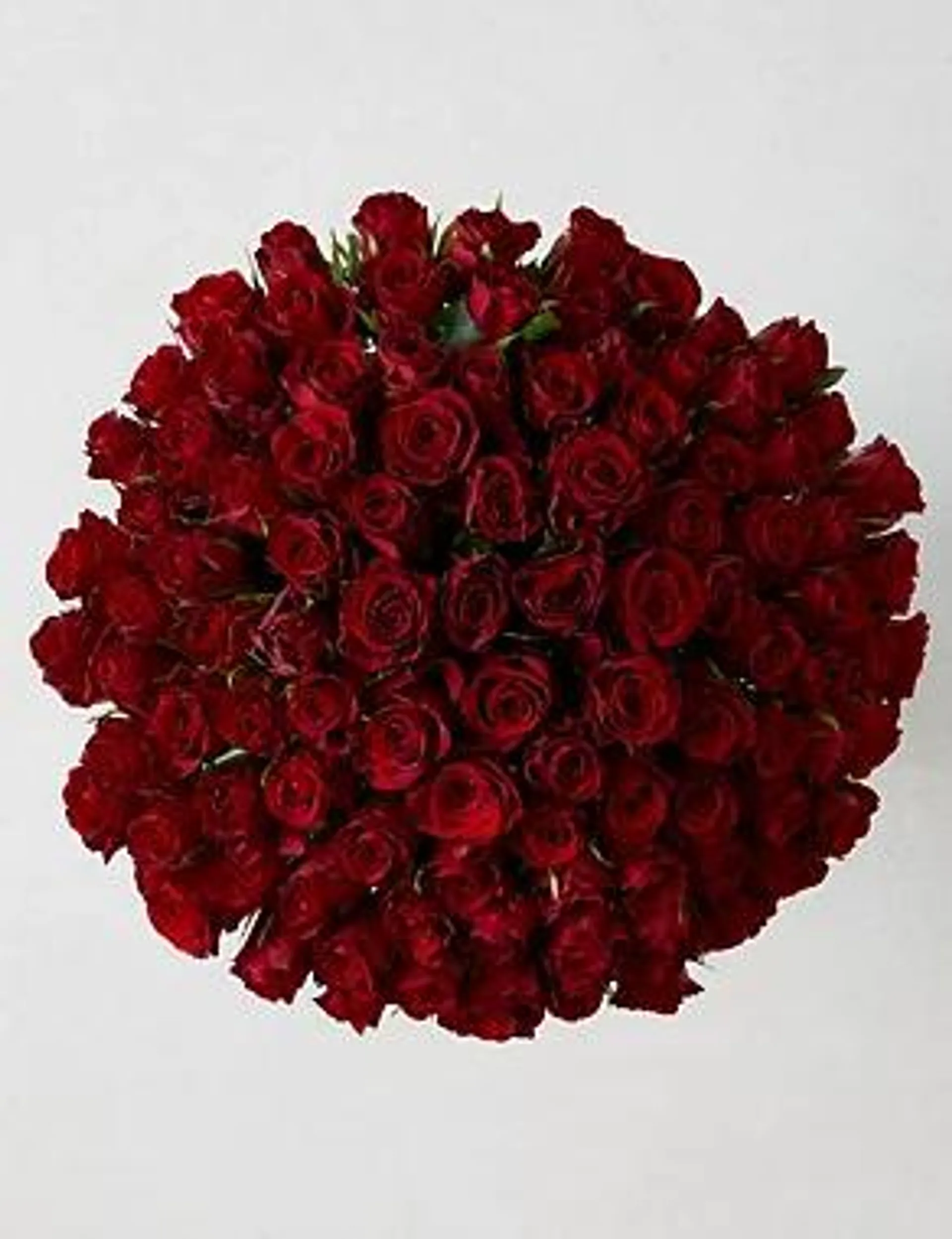 100 Red Roses Flowers Bouquet (Delivery from 9th February 2023)