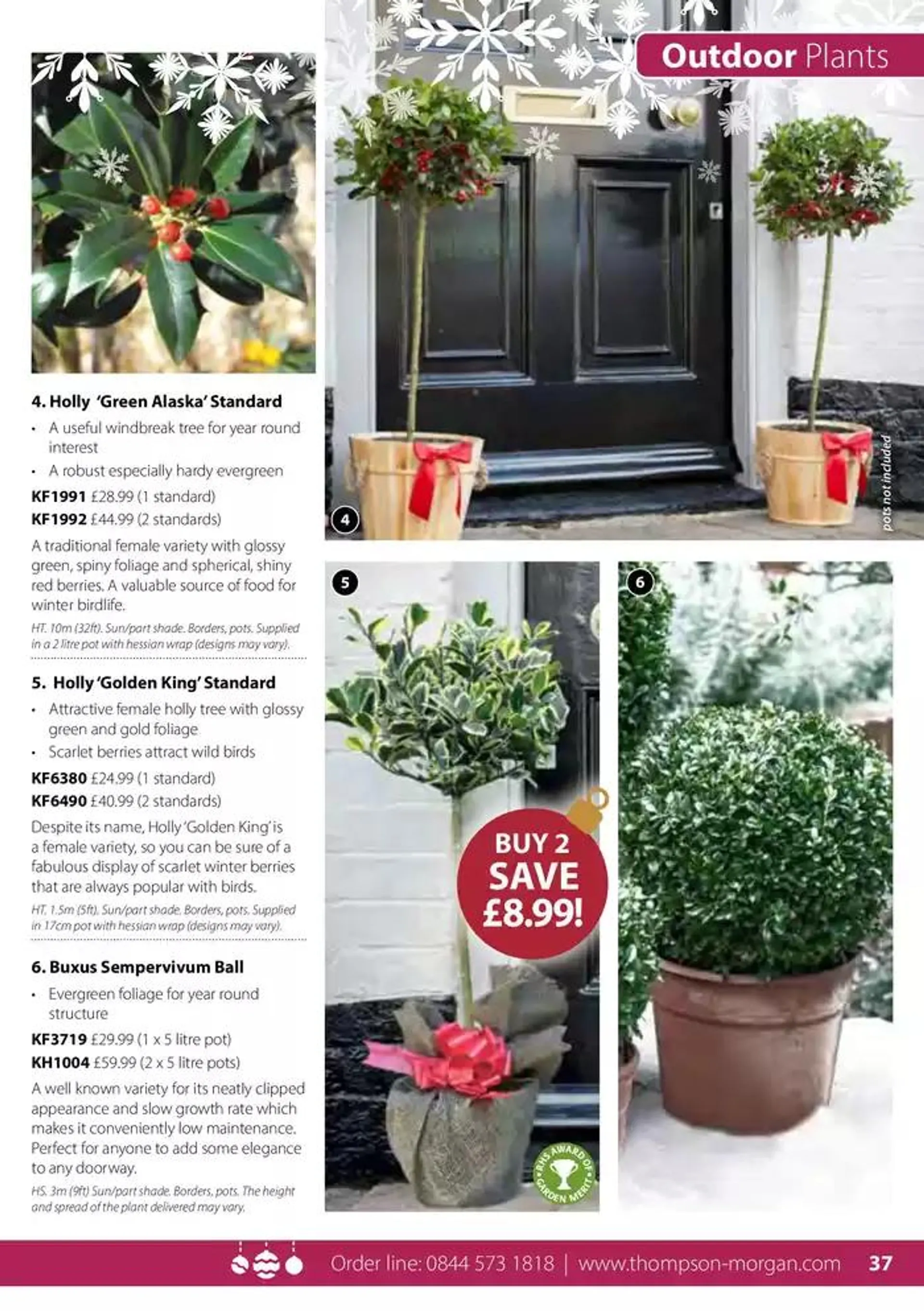 The Christmas Catalogue  from 5 November to 25 December 2024 - Catalogue Page 37