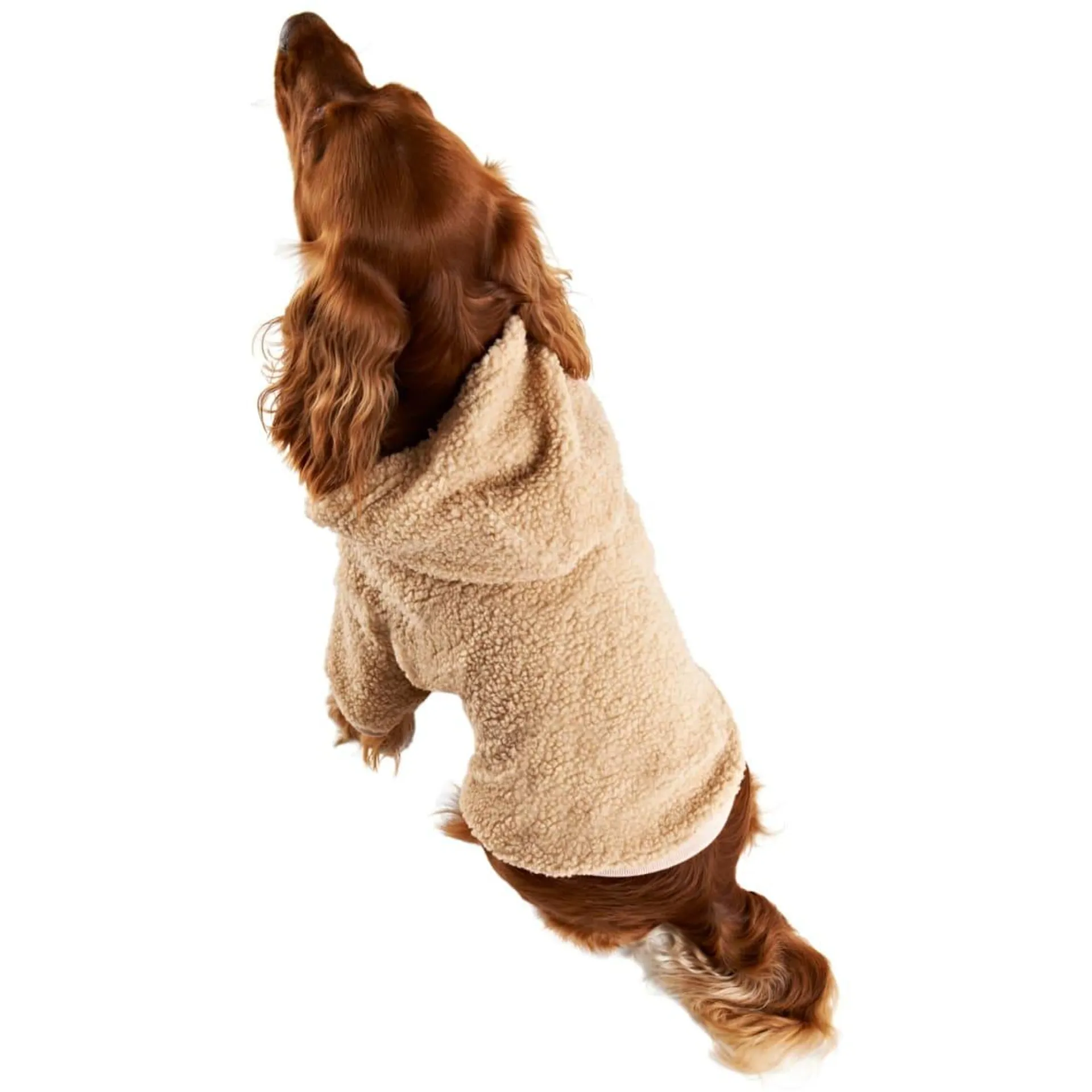 Huntley's Dog Hoody - X-Large