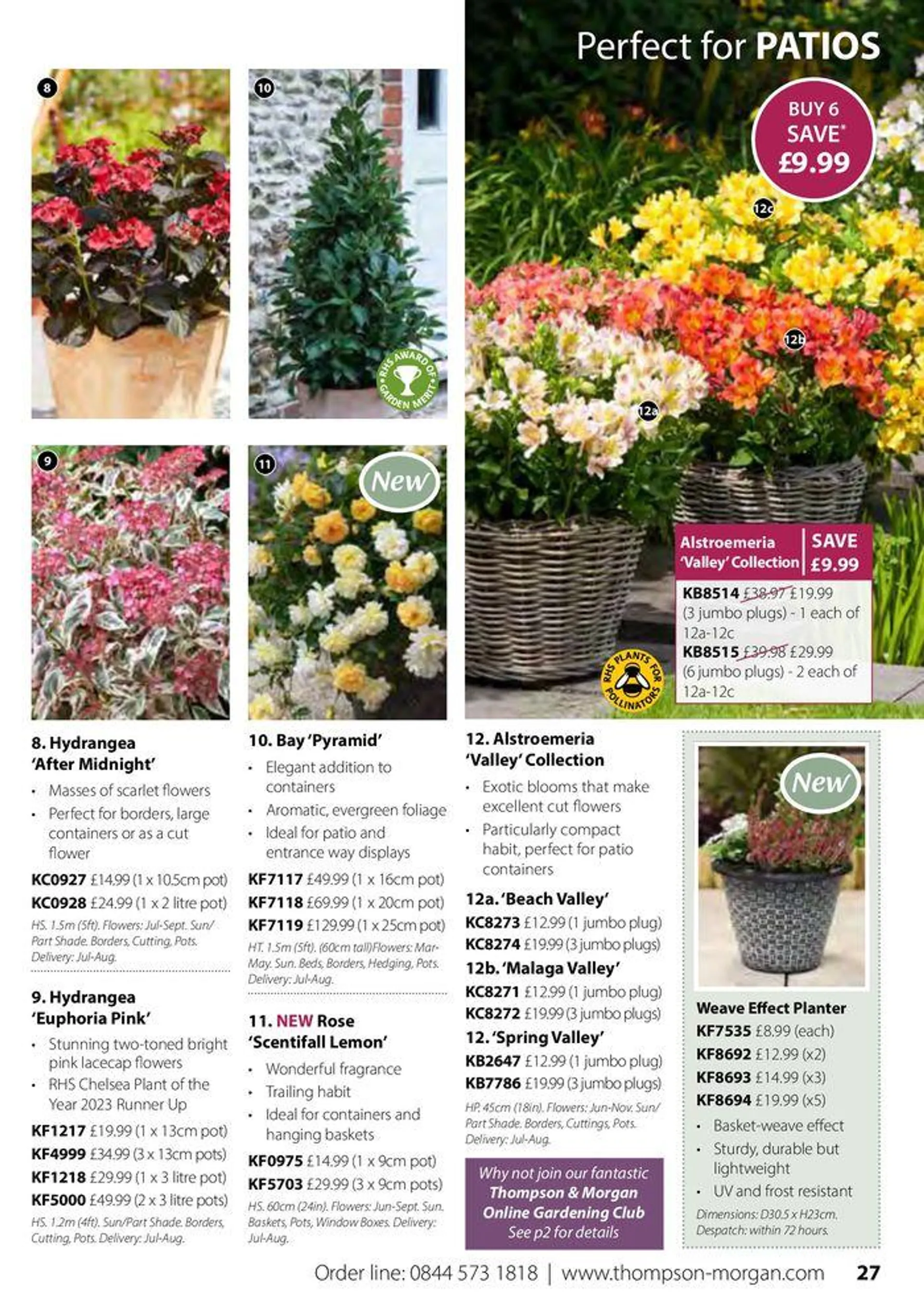 Autumn Catalogue from 1 September to 30 November 2024 - Catalogue Page 27