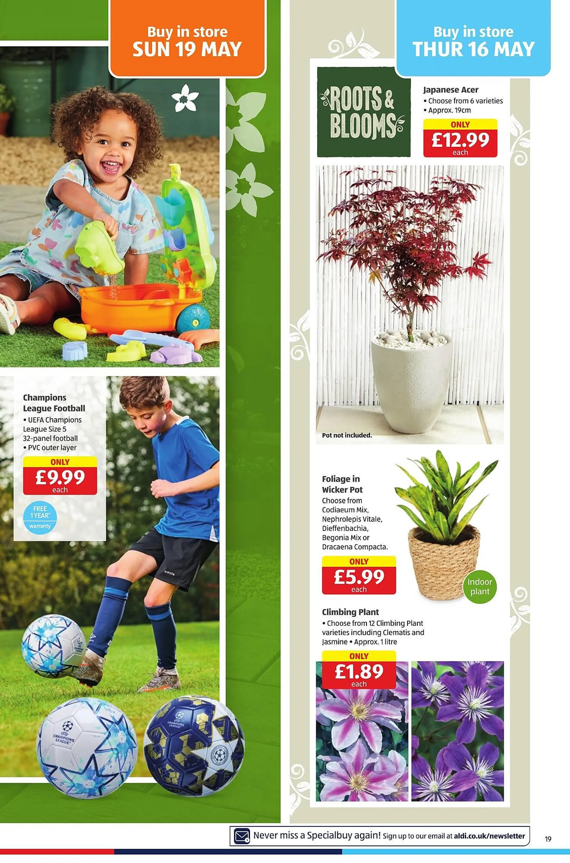 Aldi leaflet - 19