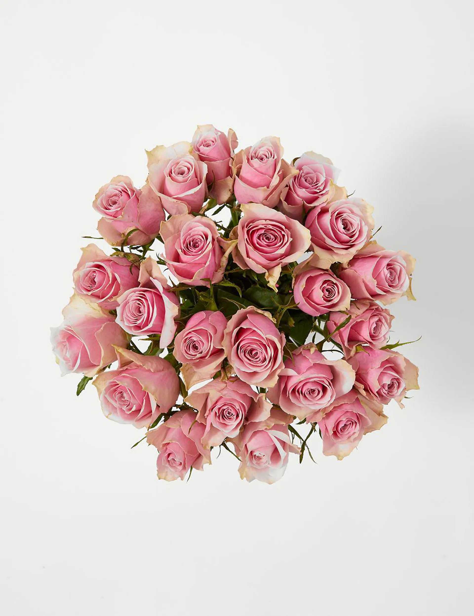 Blush Rose Abundance Bouquet with Prosecco & Collection Caramel Chocolates