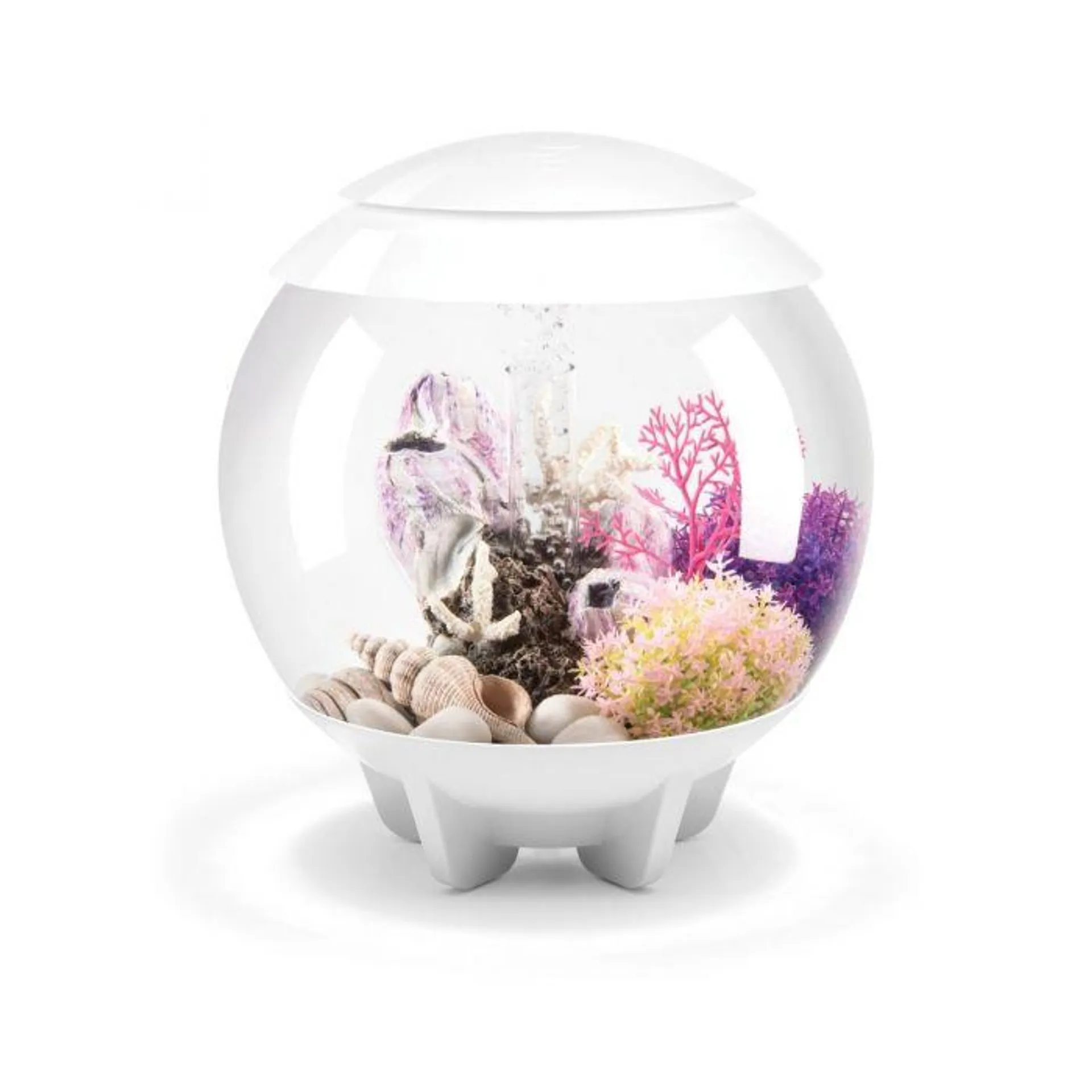 BiOrb White Halo Coldwater Aquarium with Multi Coloured LED - 15L