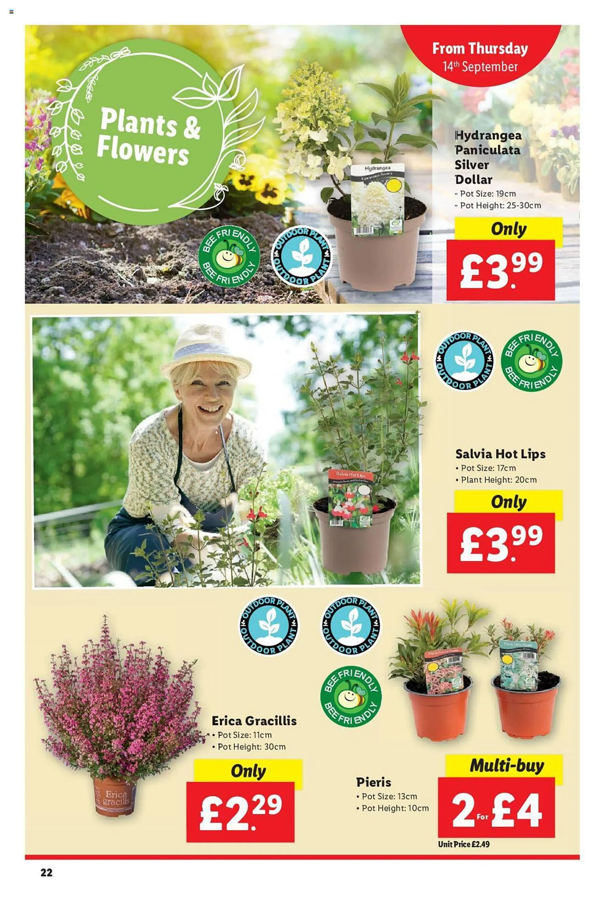 Lidl Weekly Offers from 6 September to 30 September 2023 - Catalogue Page 22