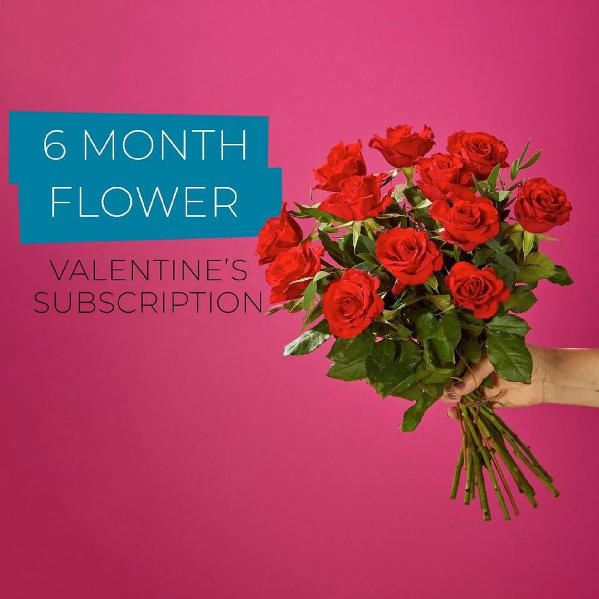 Valentine's 6 Month Flower Subscription