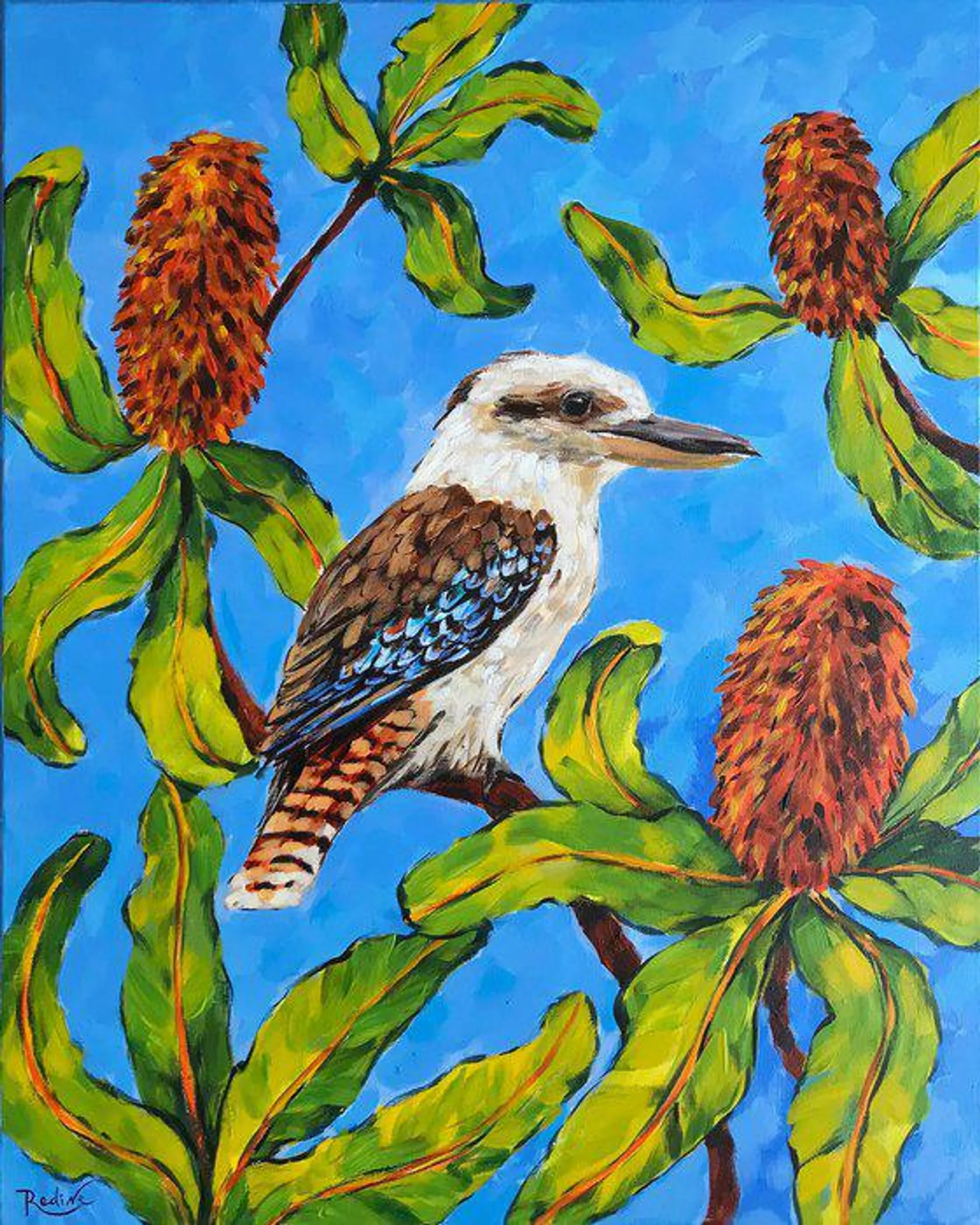 Kookaburra and Banksia (2024)