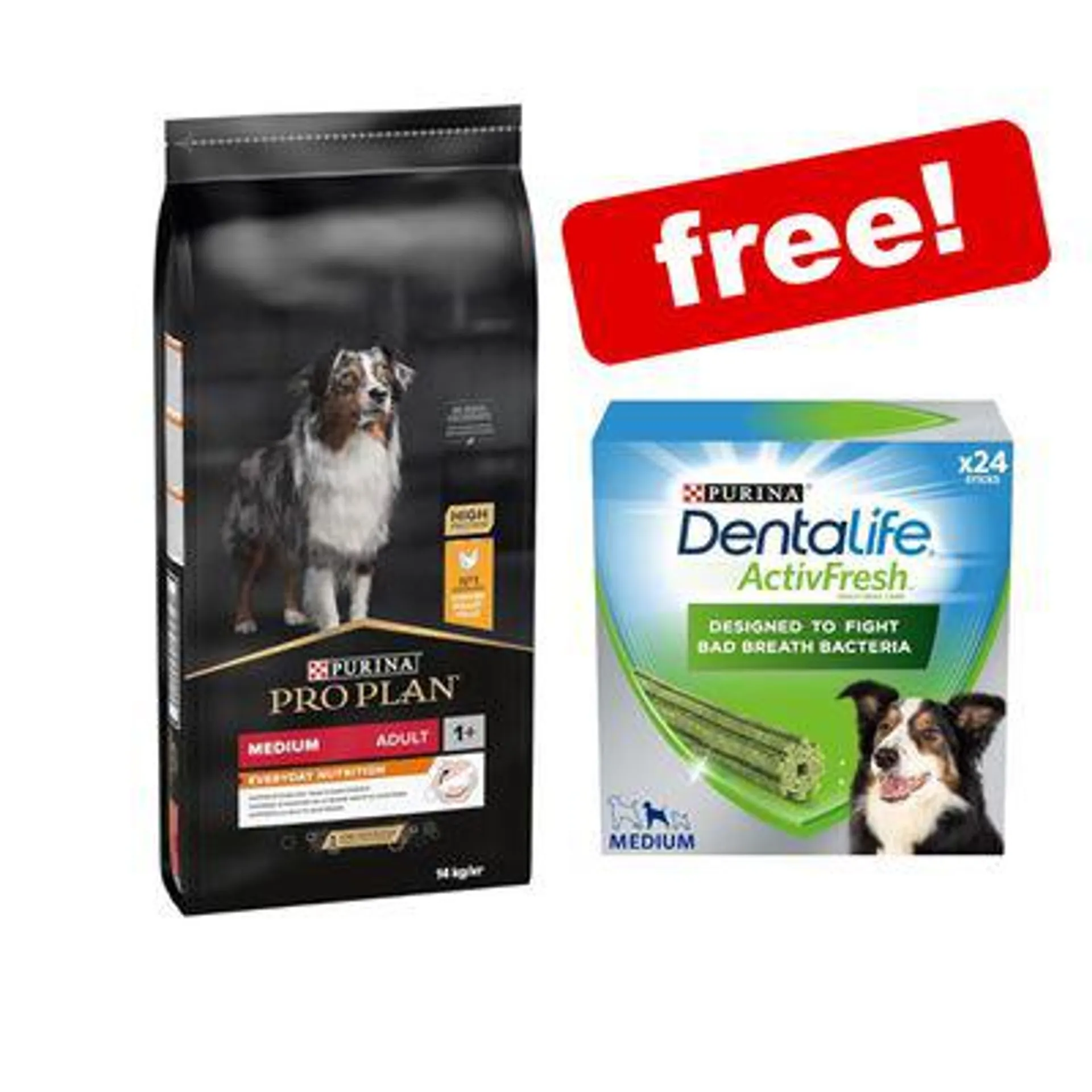 Purina Pro Plan Dry Dog Food + Dentalife Multipack Snacks Free! *