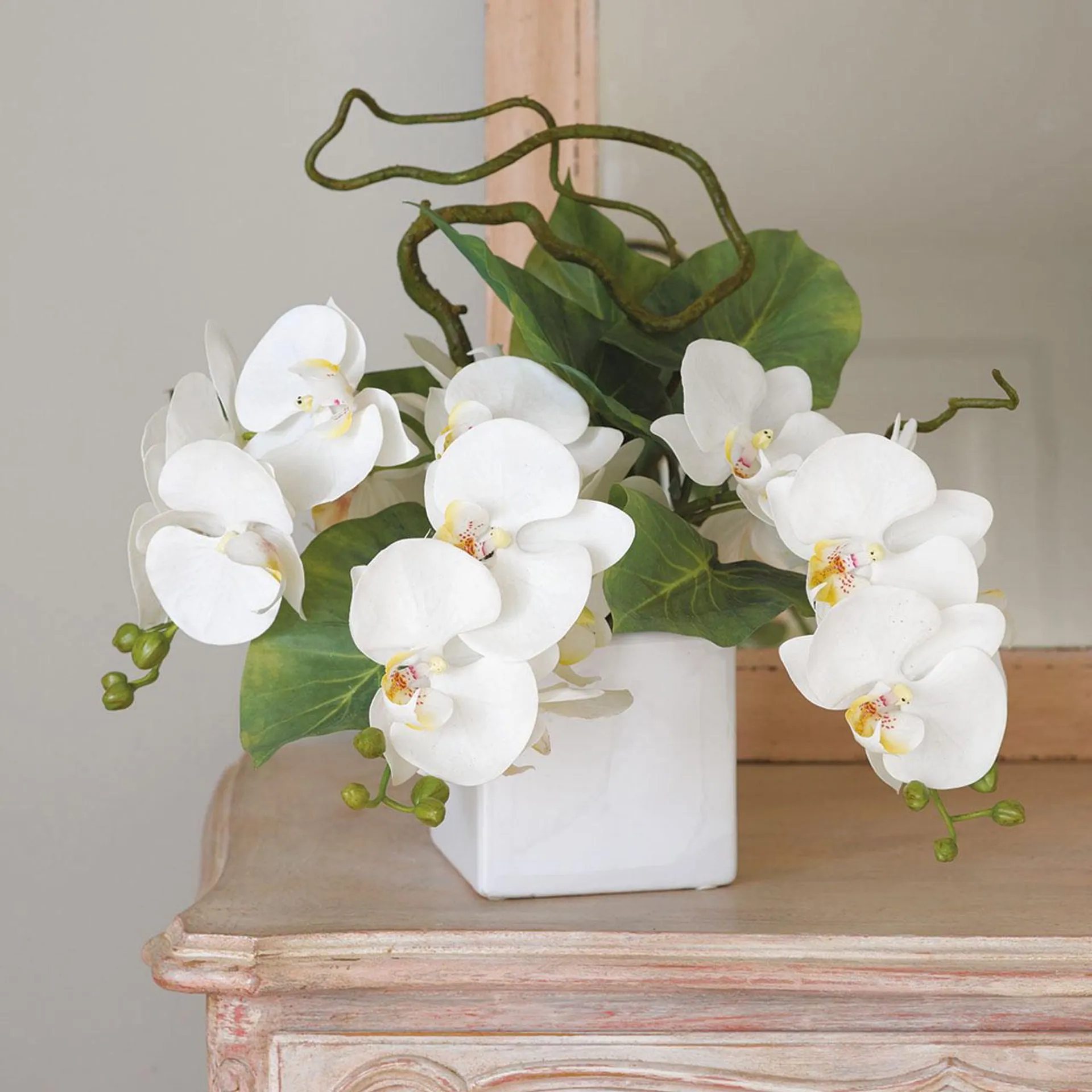 Lusong Orchid Arrangement in 1colour