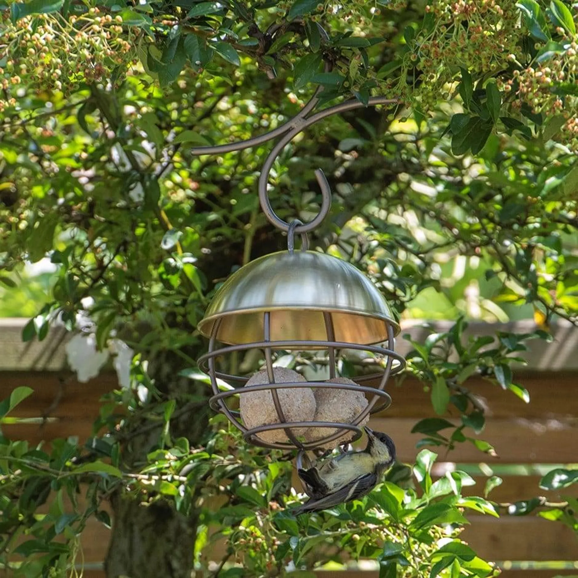 Brushed brass satellite fat ball feeder