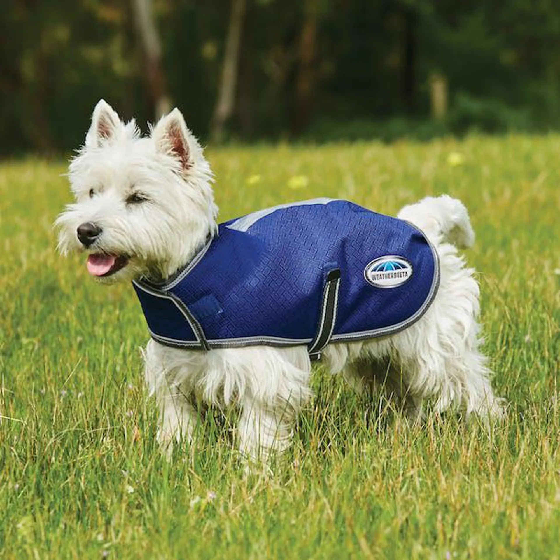 Weatherbeeta Comfitec Premier Free Parka Medium Dog Jacket